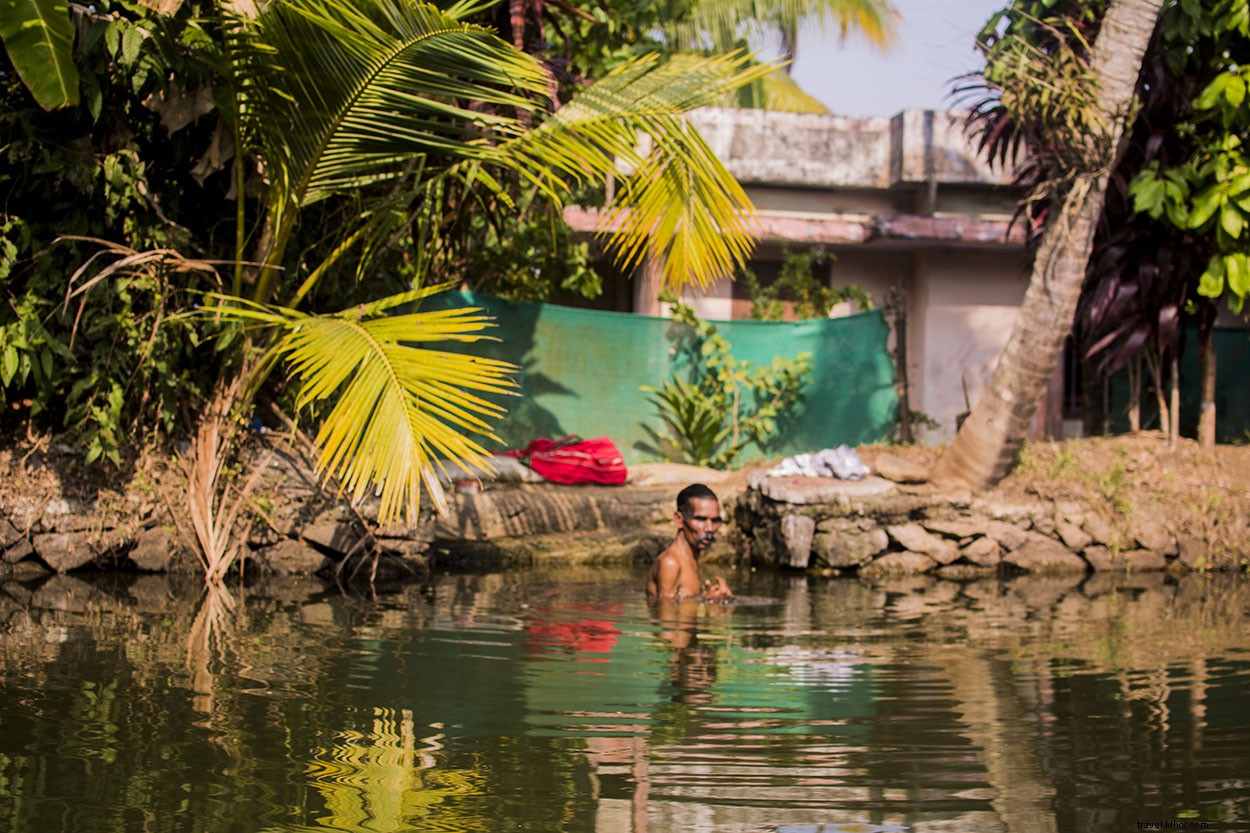 La vie dans les backwaters d Alleppey, Kerala