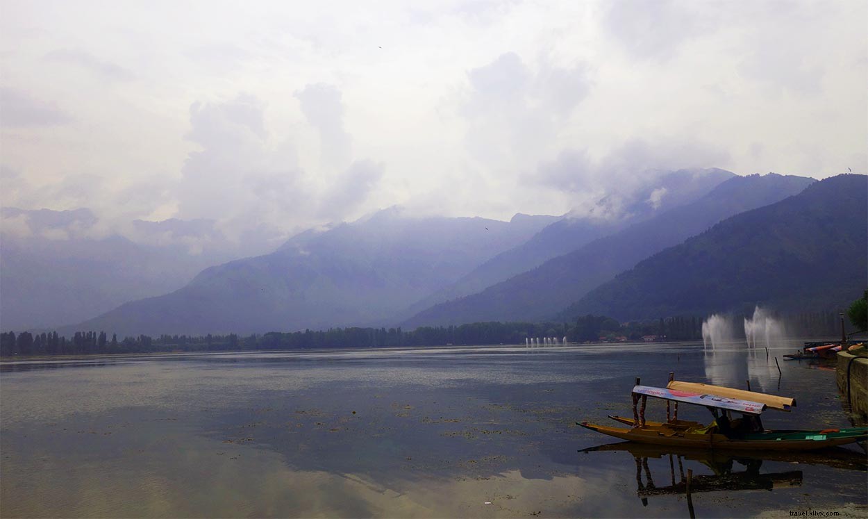 Srinagar, Cachemira:un encuentro en torno a la perplejidad