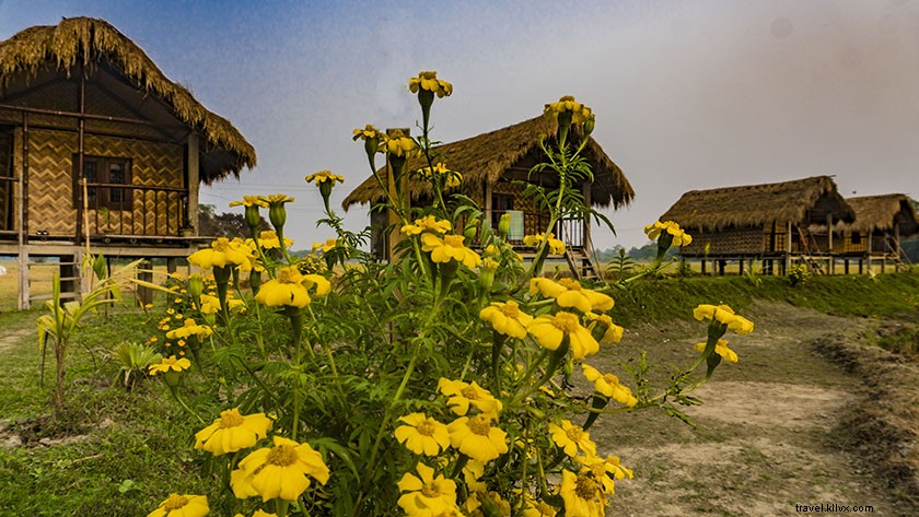 Foto dell isola di Majuli:16 immagini per completare la tua visita virtuale