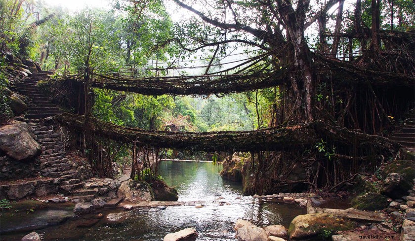 Nongriat:de los puentes raíz a su historia natural y cultural