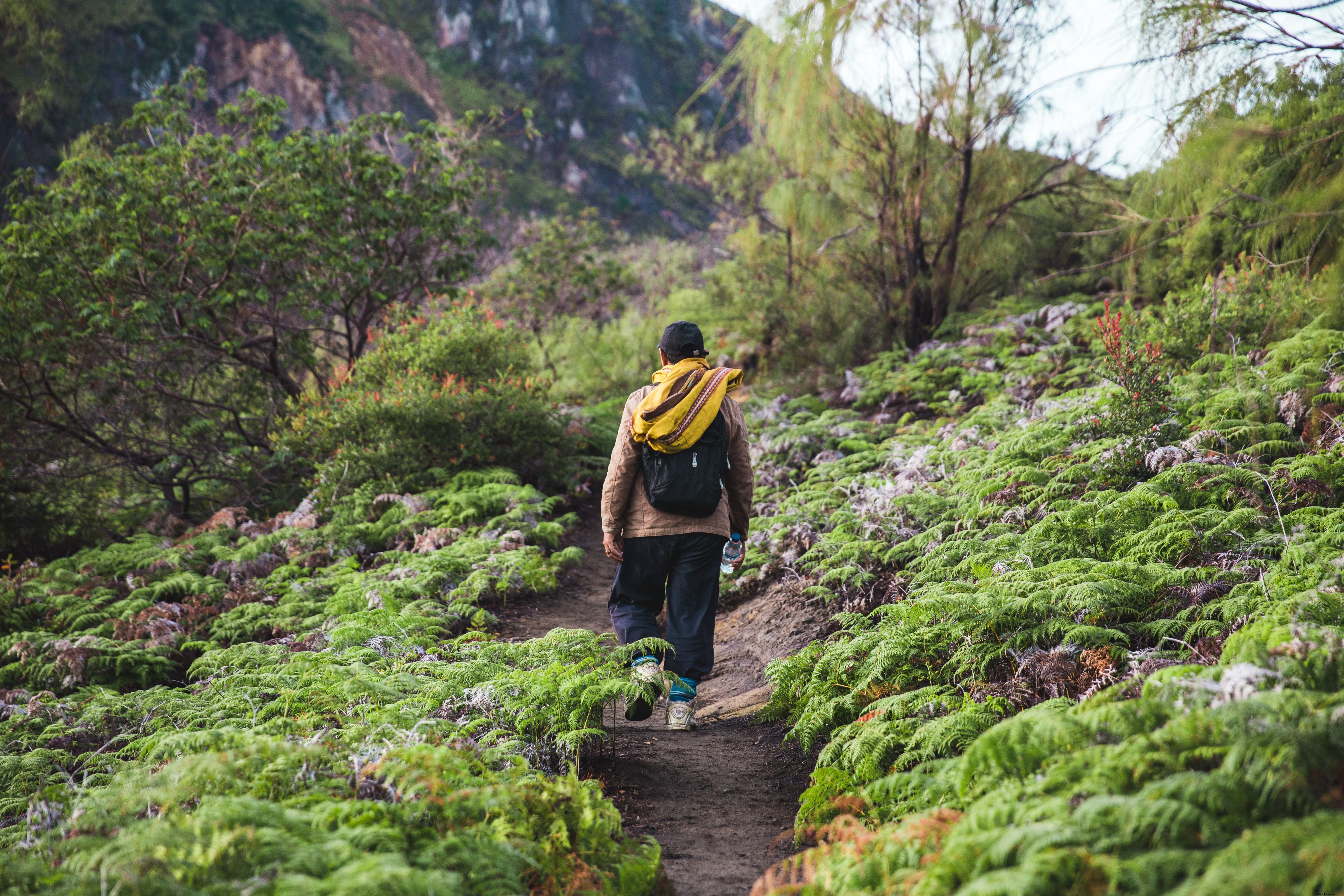 Photo de randonnée sur le chemin vers le haut