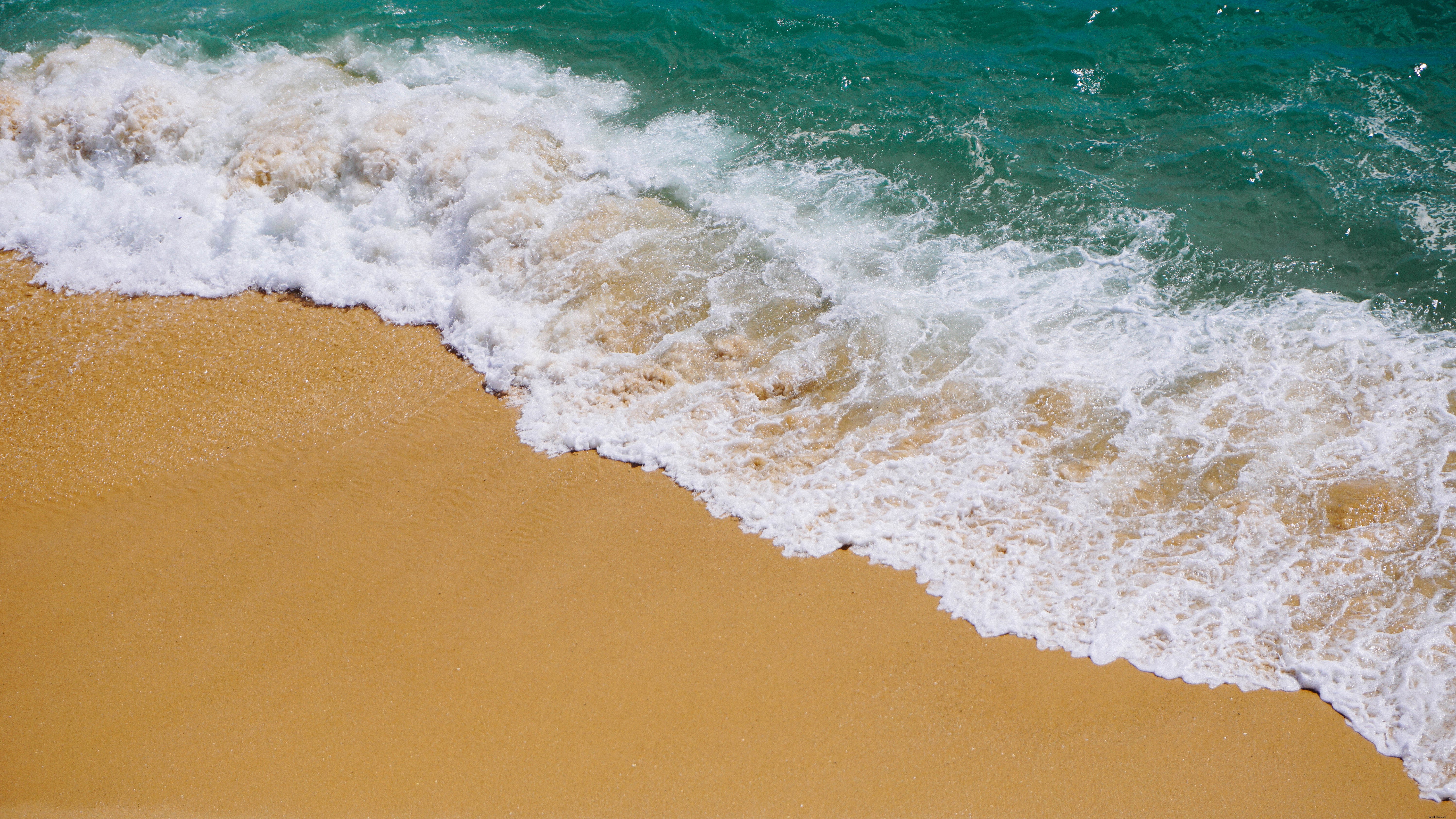 Vagues se brisant sur la plage Photo