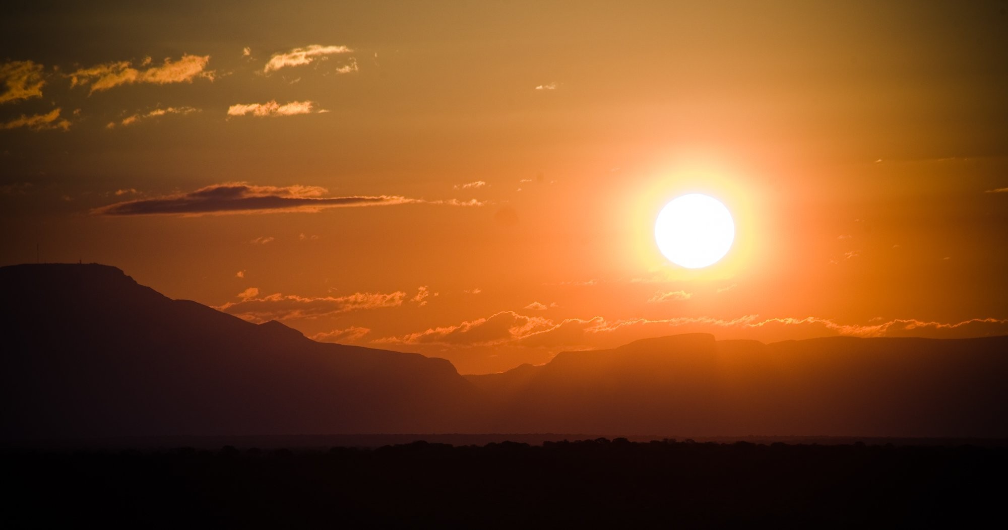 Foto do safári africano do pôr do sol