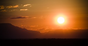 Foto do safári africano do pôr do sol