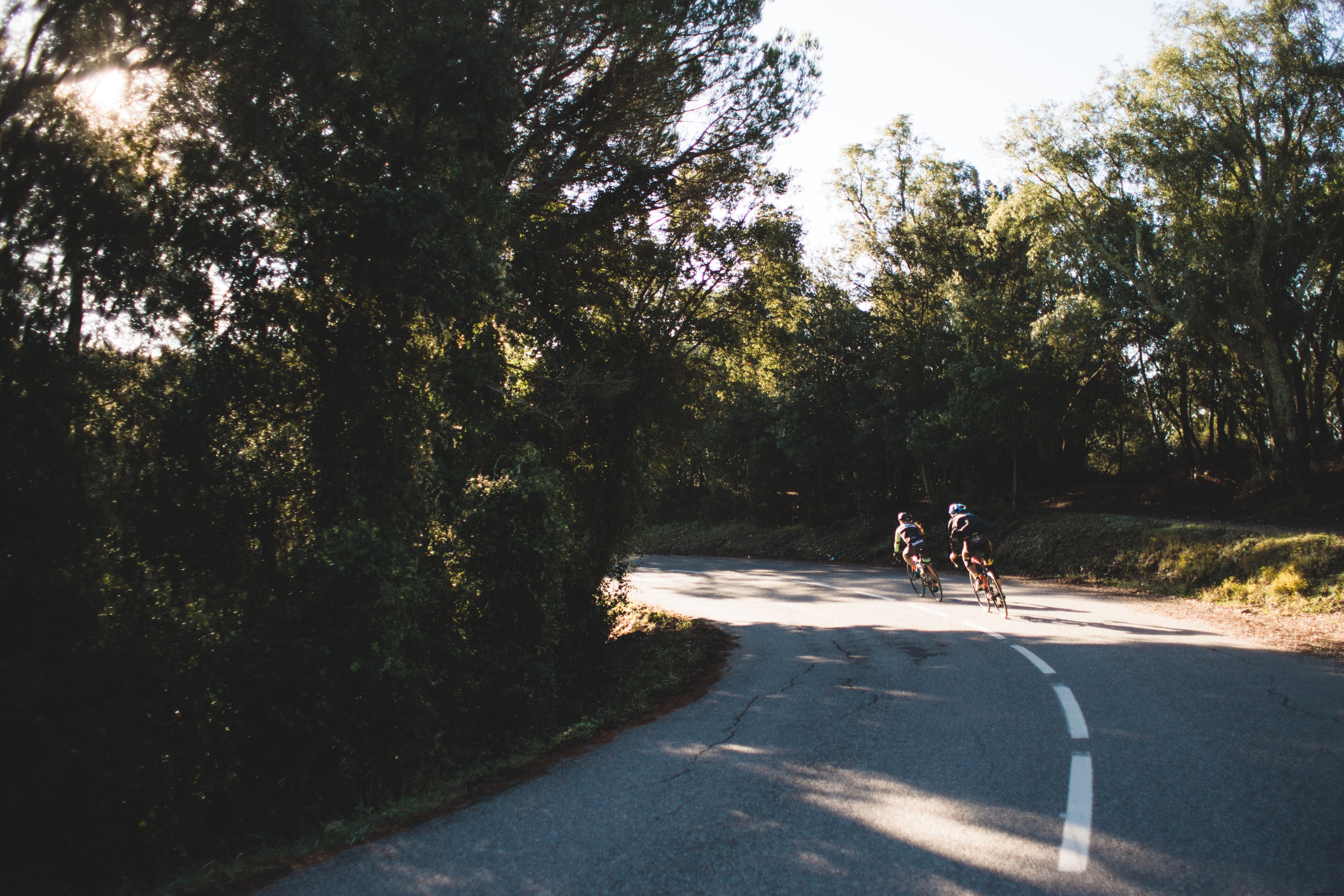 Le bici prendono la svolta foto