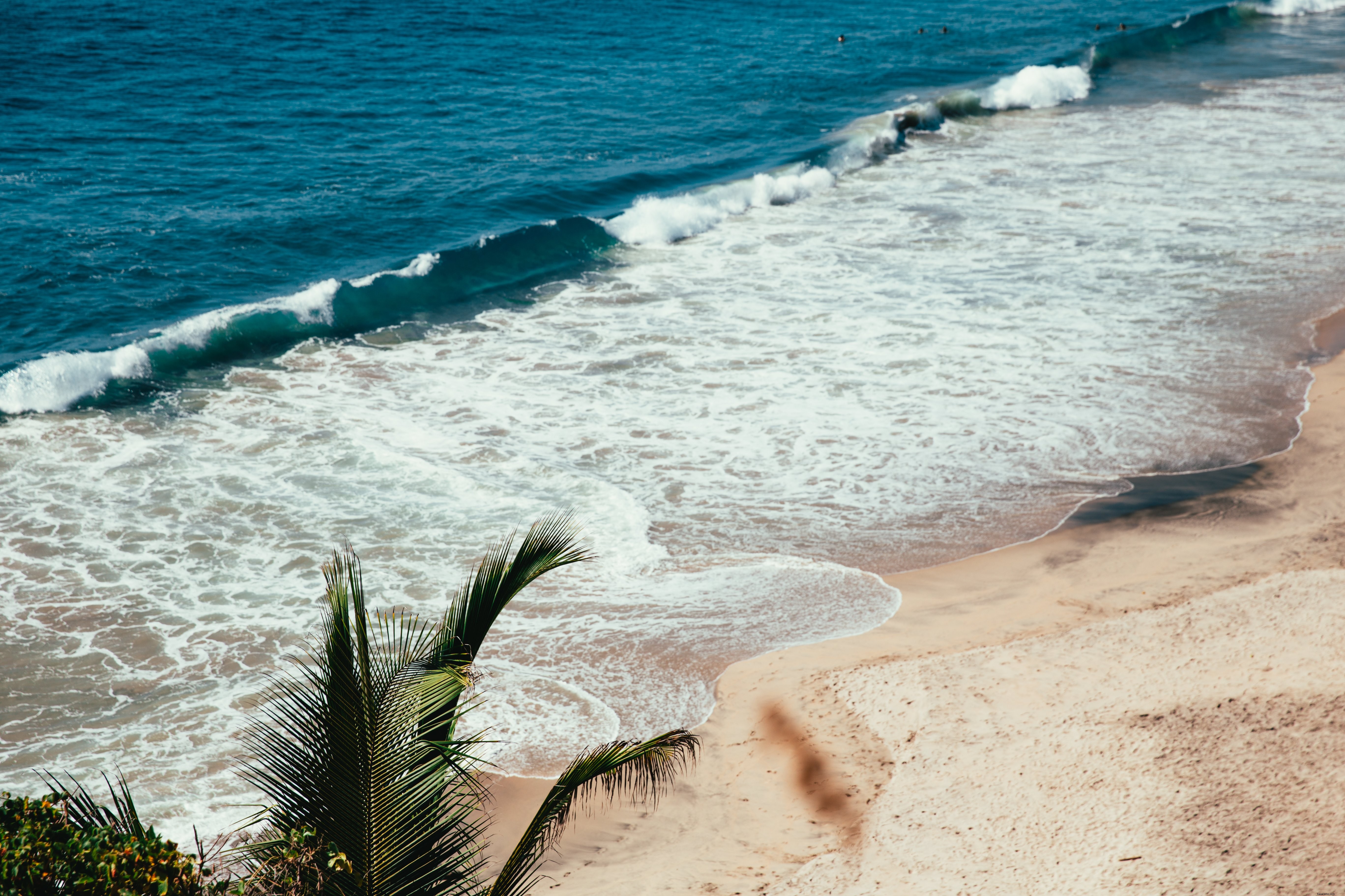 Foto de praia tropical