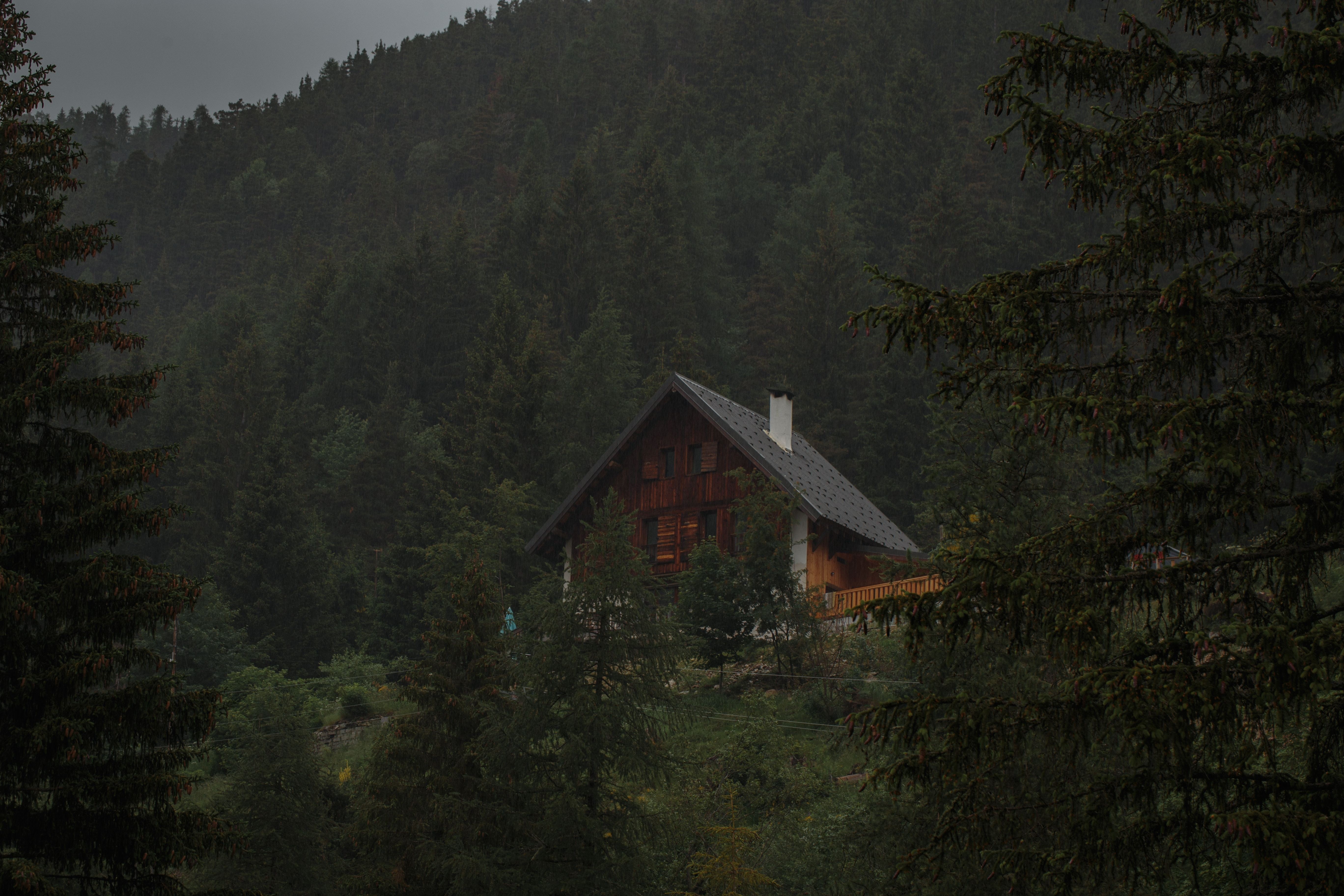 Una cabaña de madera de marco en una foto del bosque