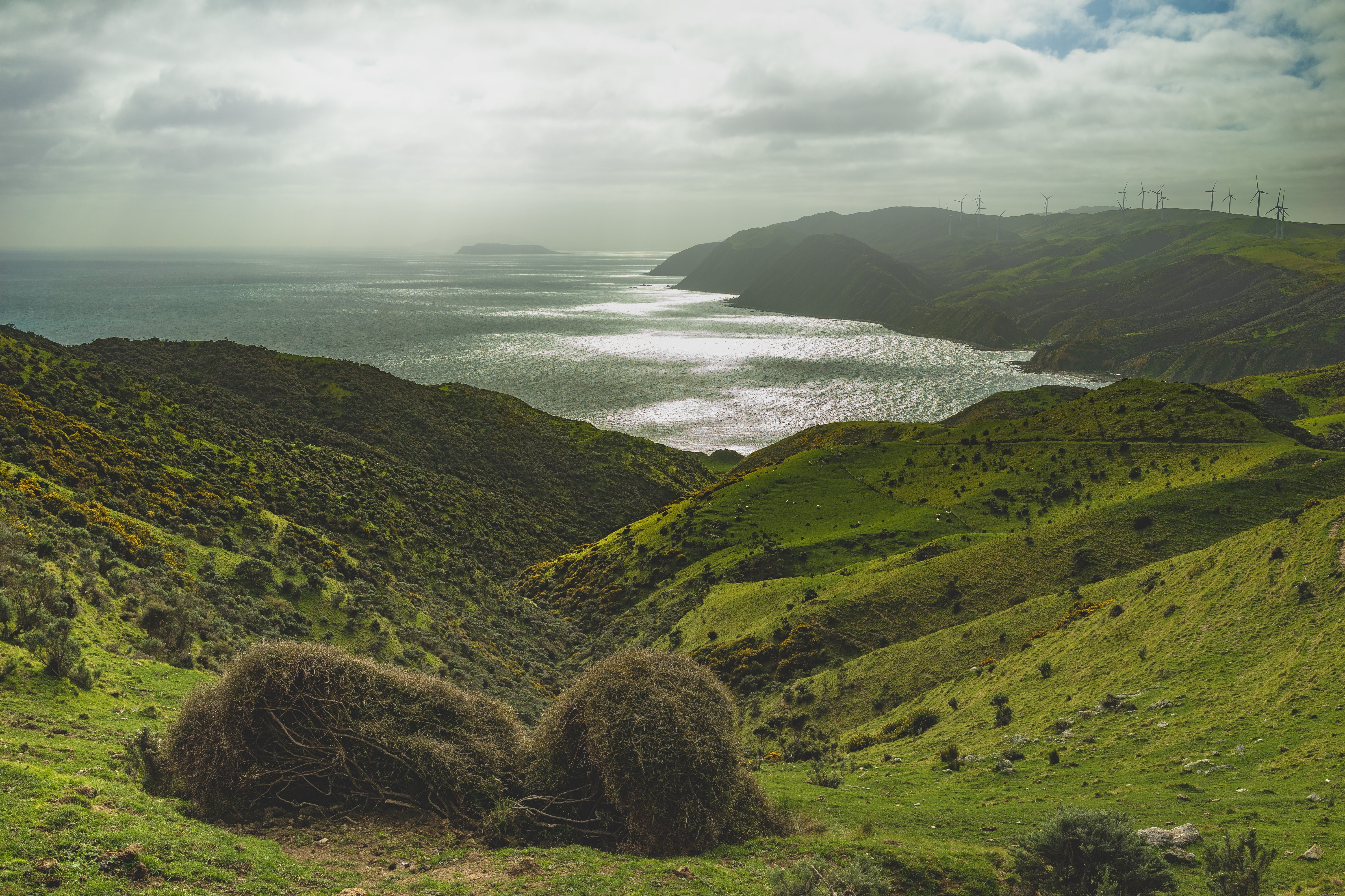 Un regard à travers le paysage avec vue sur la mer Photo