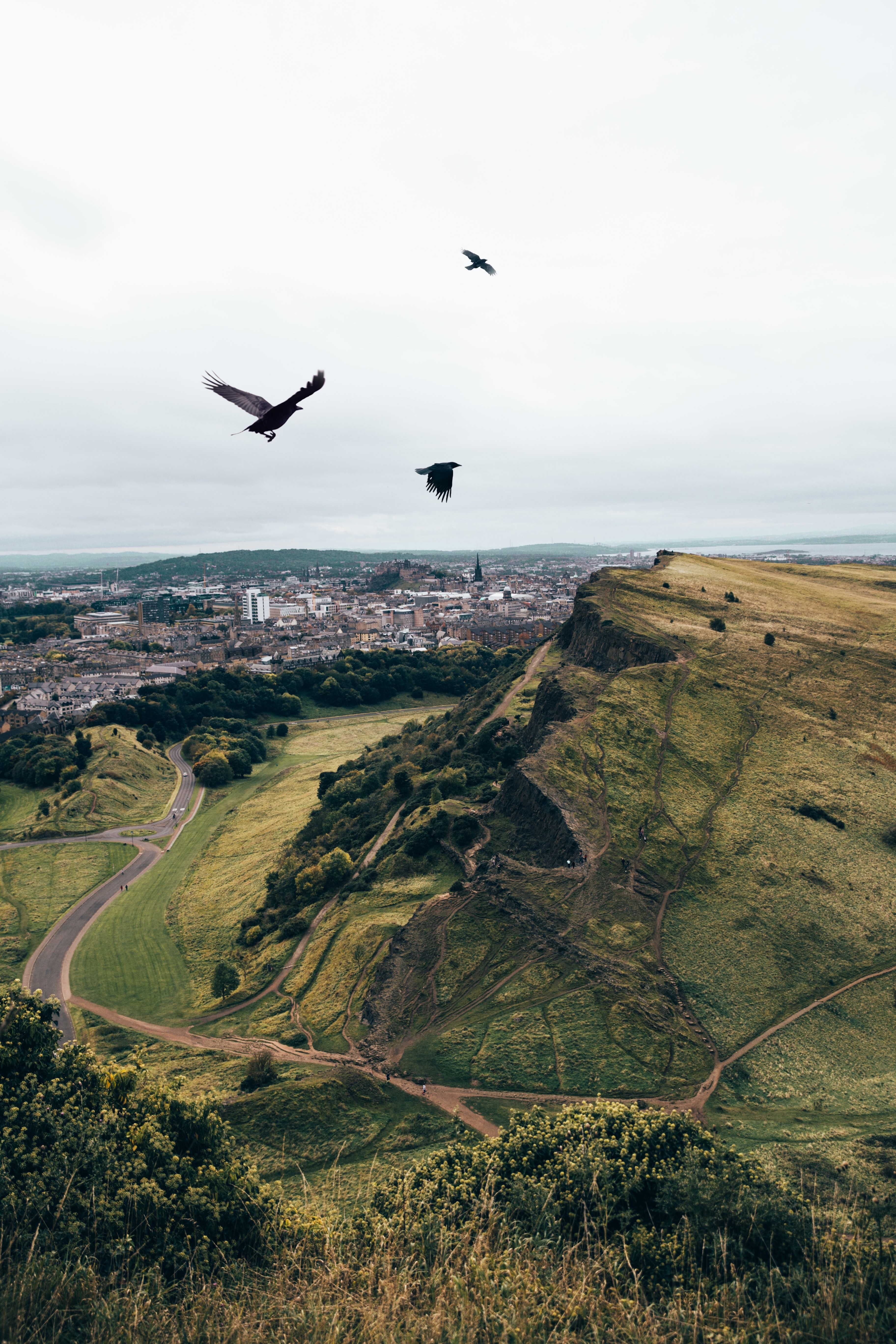 Foto de corvos voando sobre colinas
