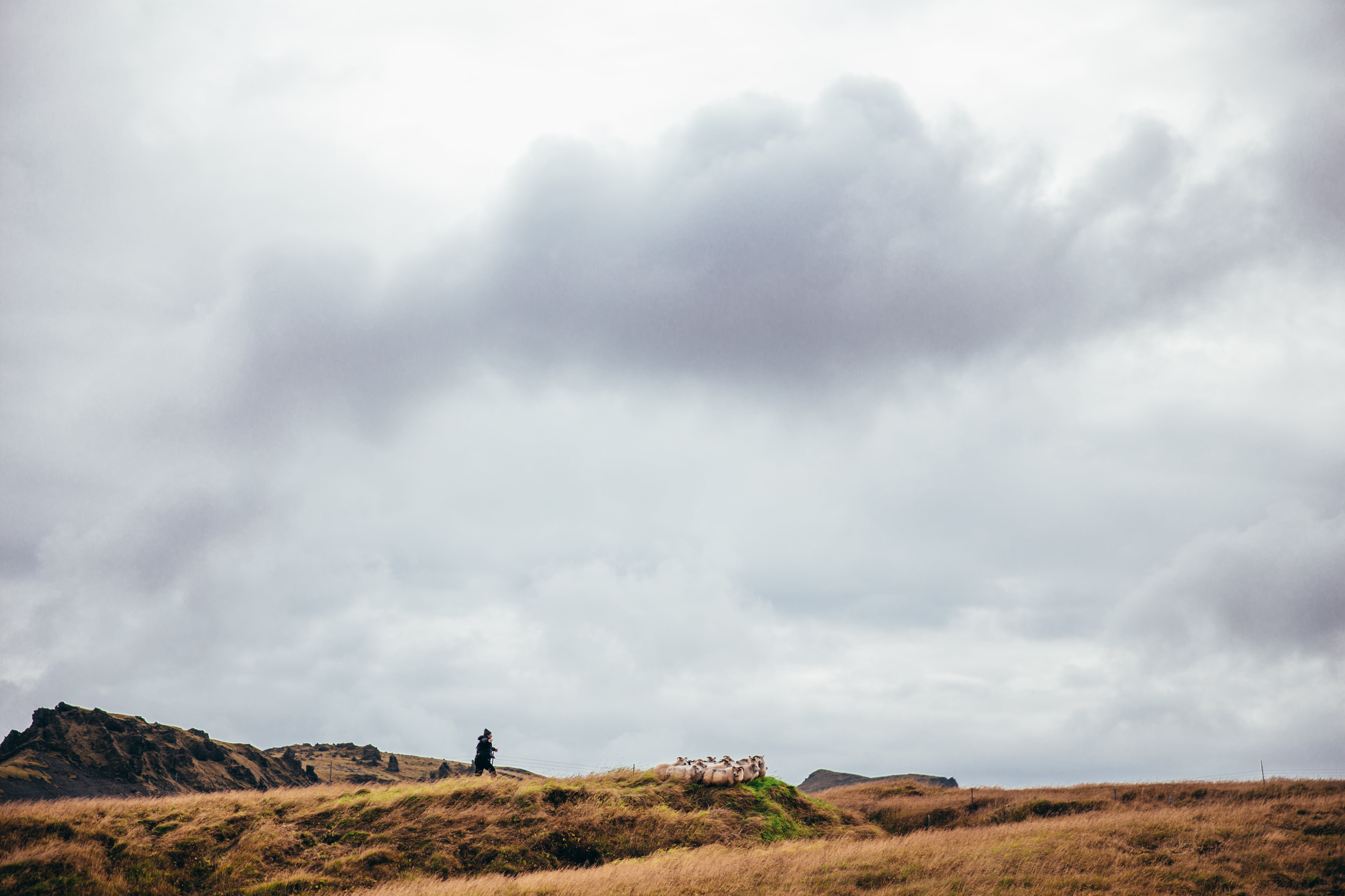 Photo des prairies arctiques