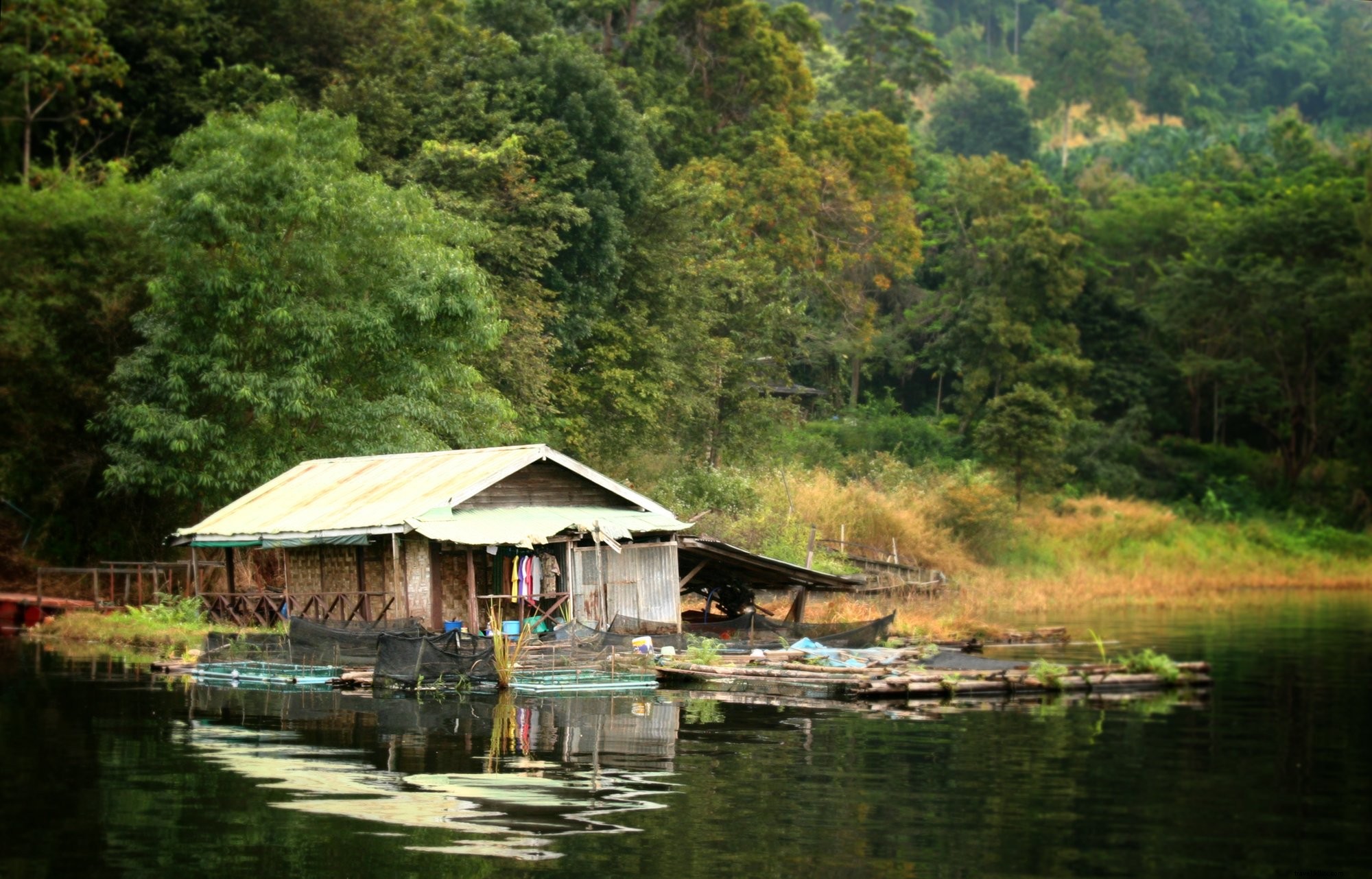 Rumah Rumah Di Hutan Foto