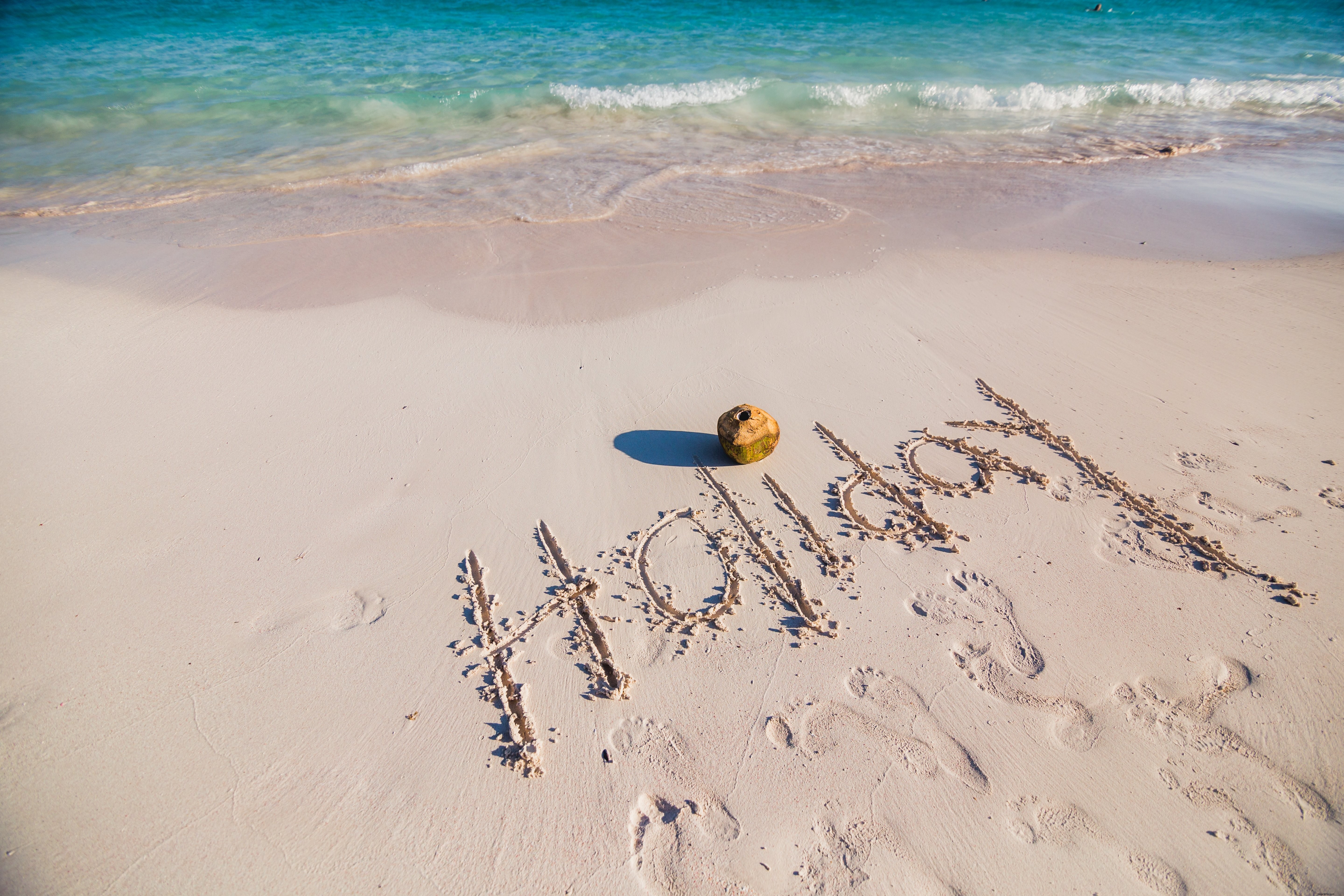 Vacances à la plage avec photo de noix de coco