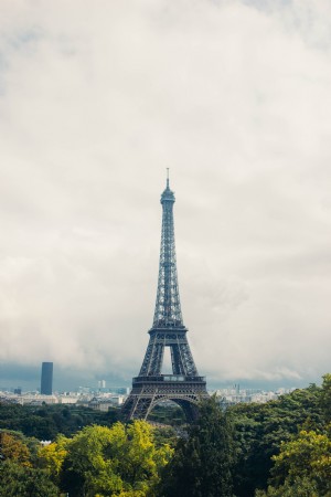 Torre Eiffel França Foto