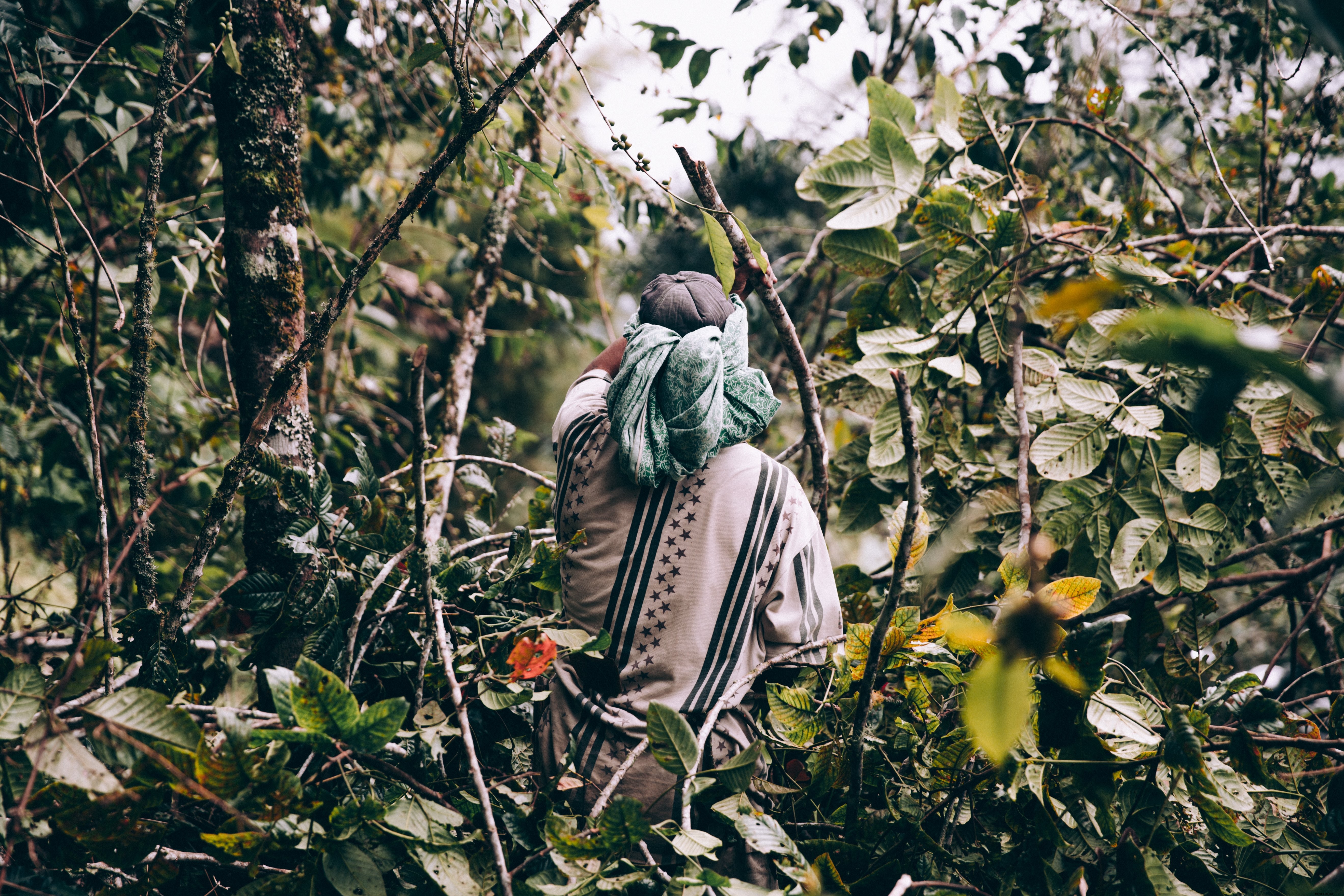 Homem com roupas largas caminha pela selva foto