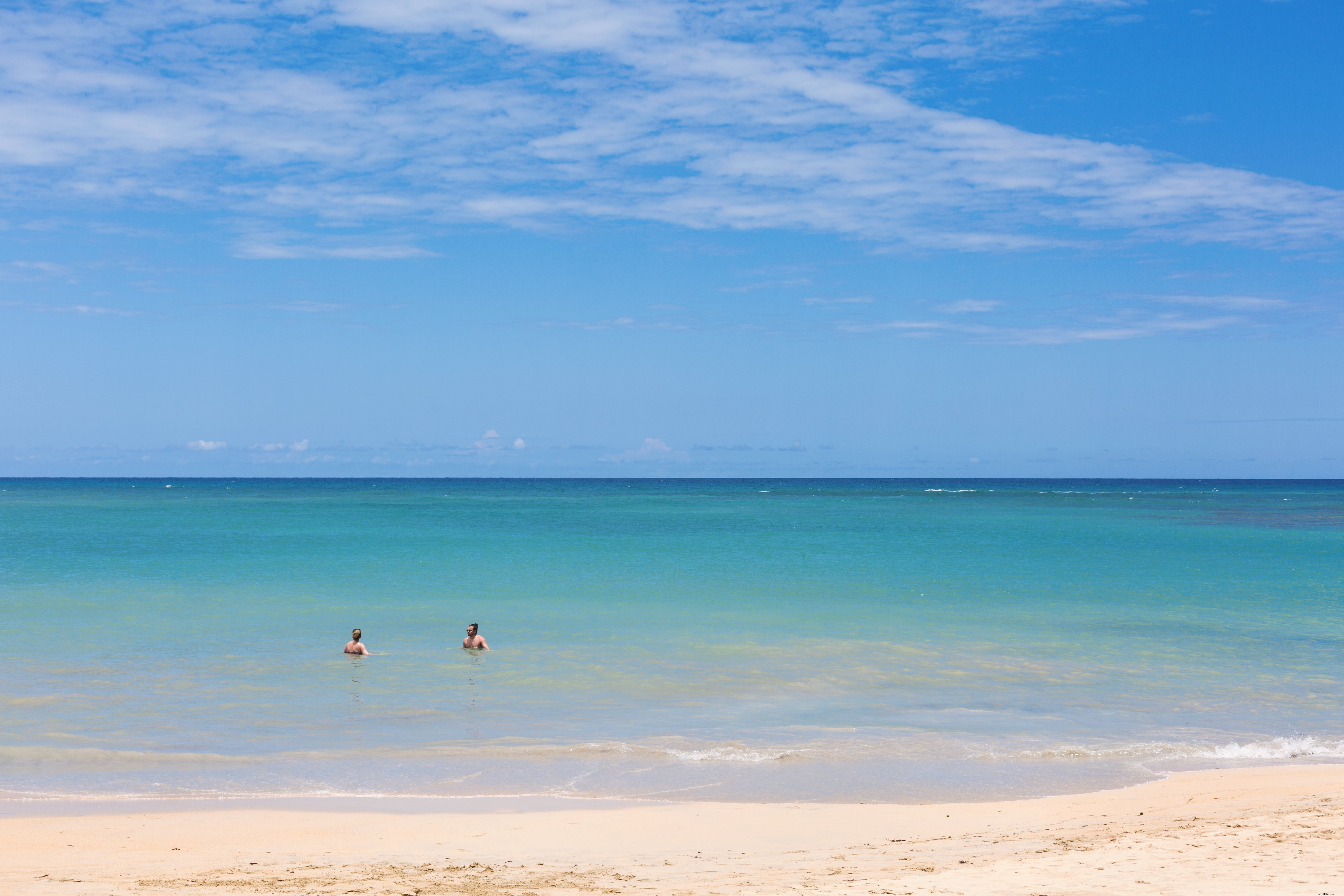 Foto de nadadores oceânicos de férias