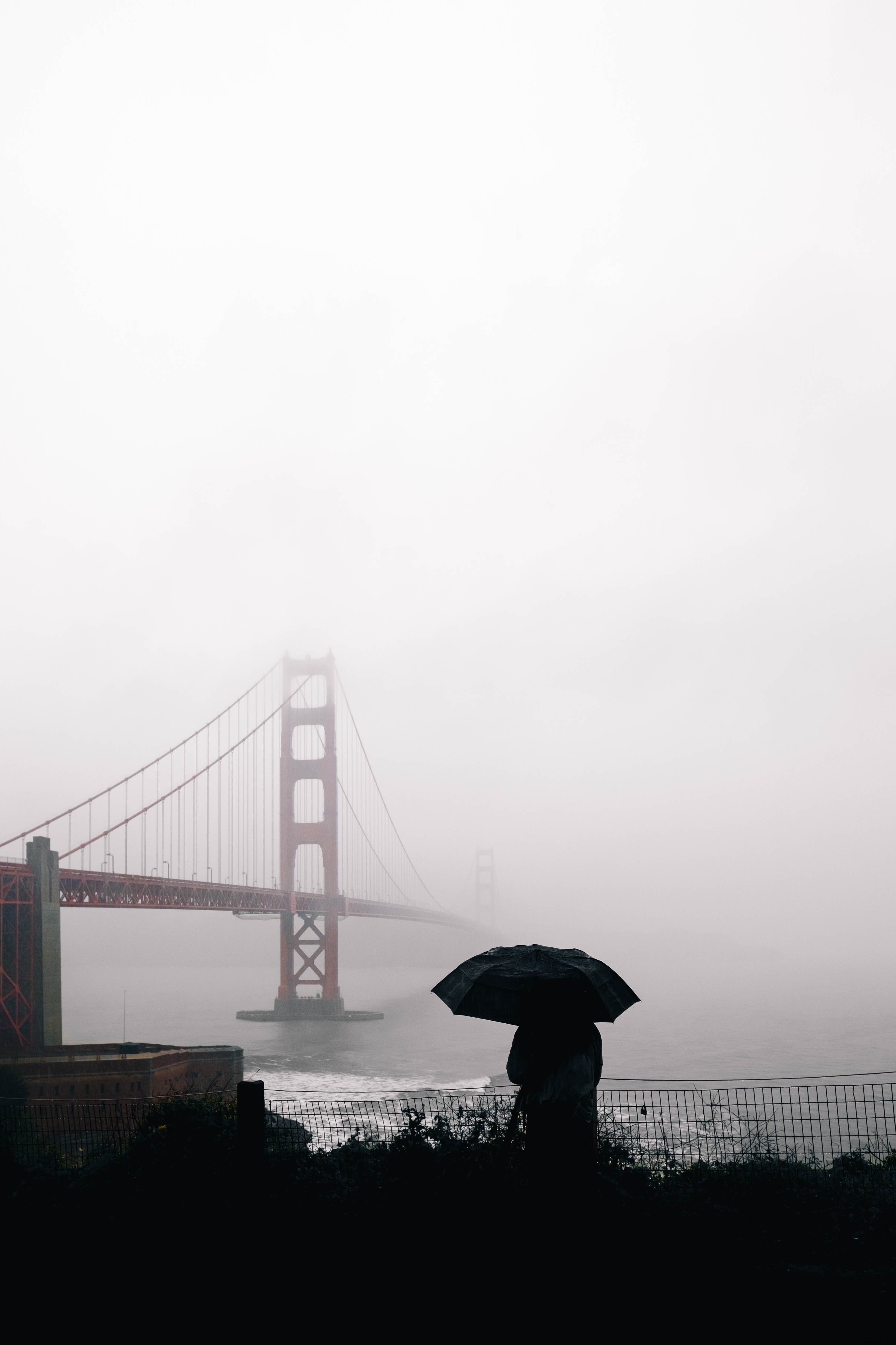 Guardando la foto del Golden Gate nella nebbia