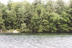 Foto da floresta à beira do lago