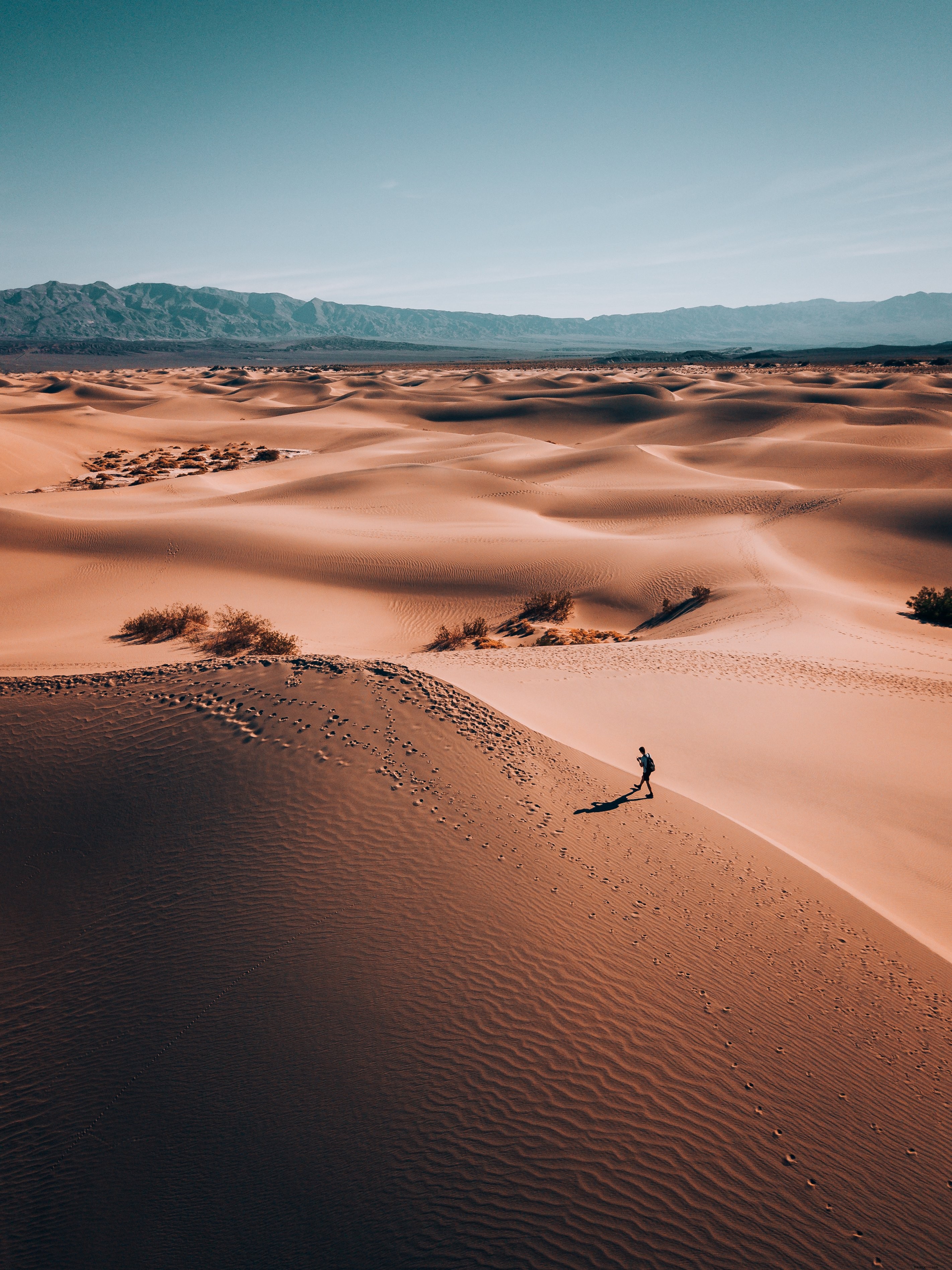 Un vagabond solitaire dans une photo de terre désertique