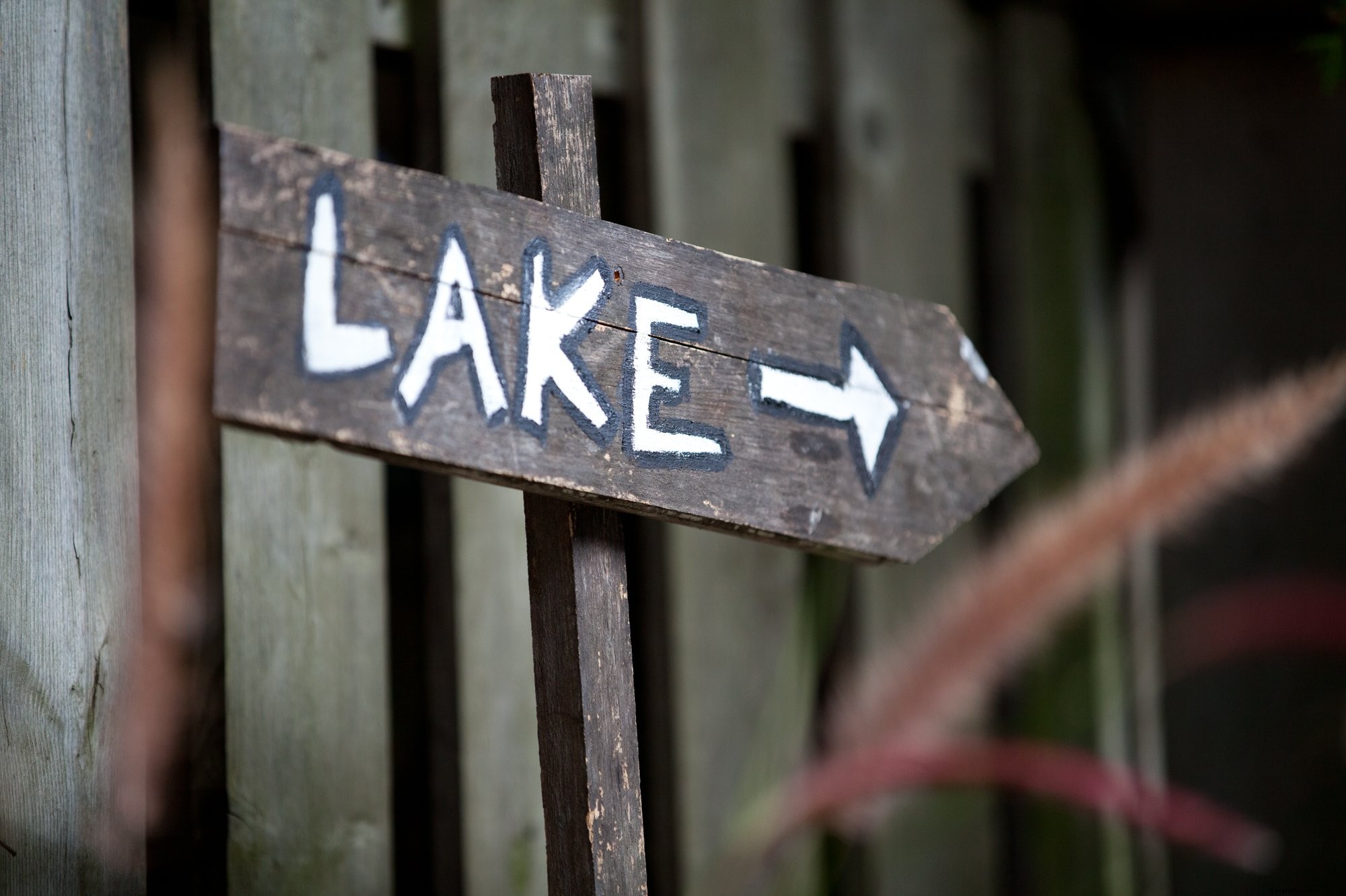 Lake This Way Sign Photo