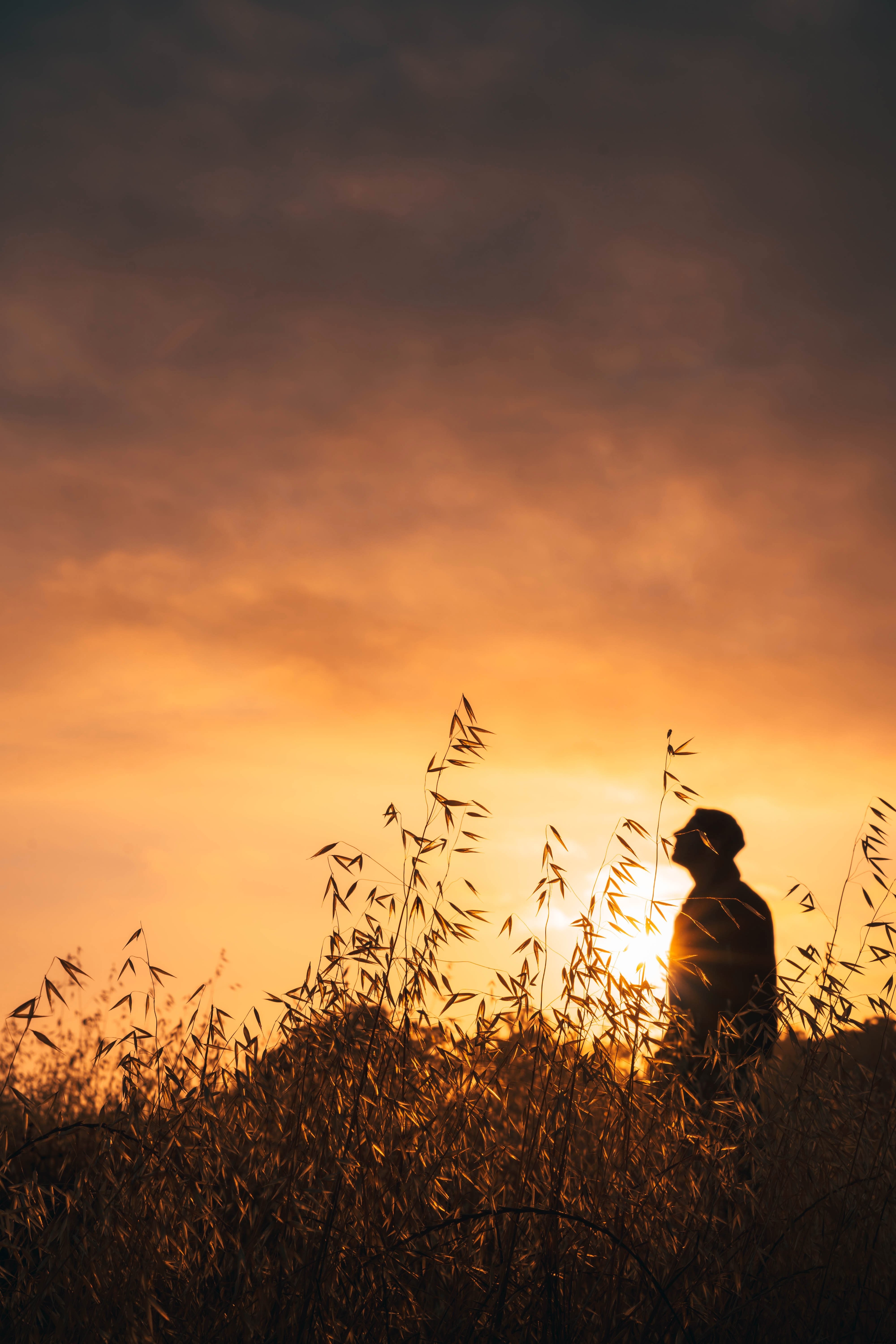 Uomo in campo al tramonto foto