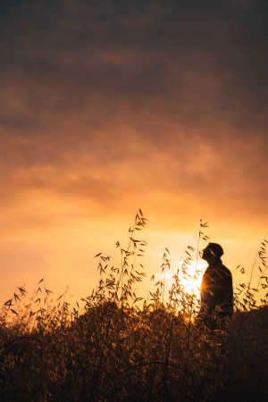 Foto de homem no campo ao pôr do sol