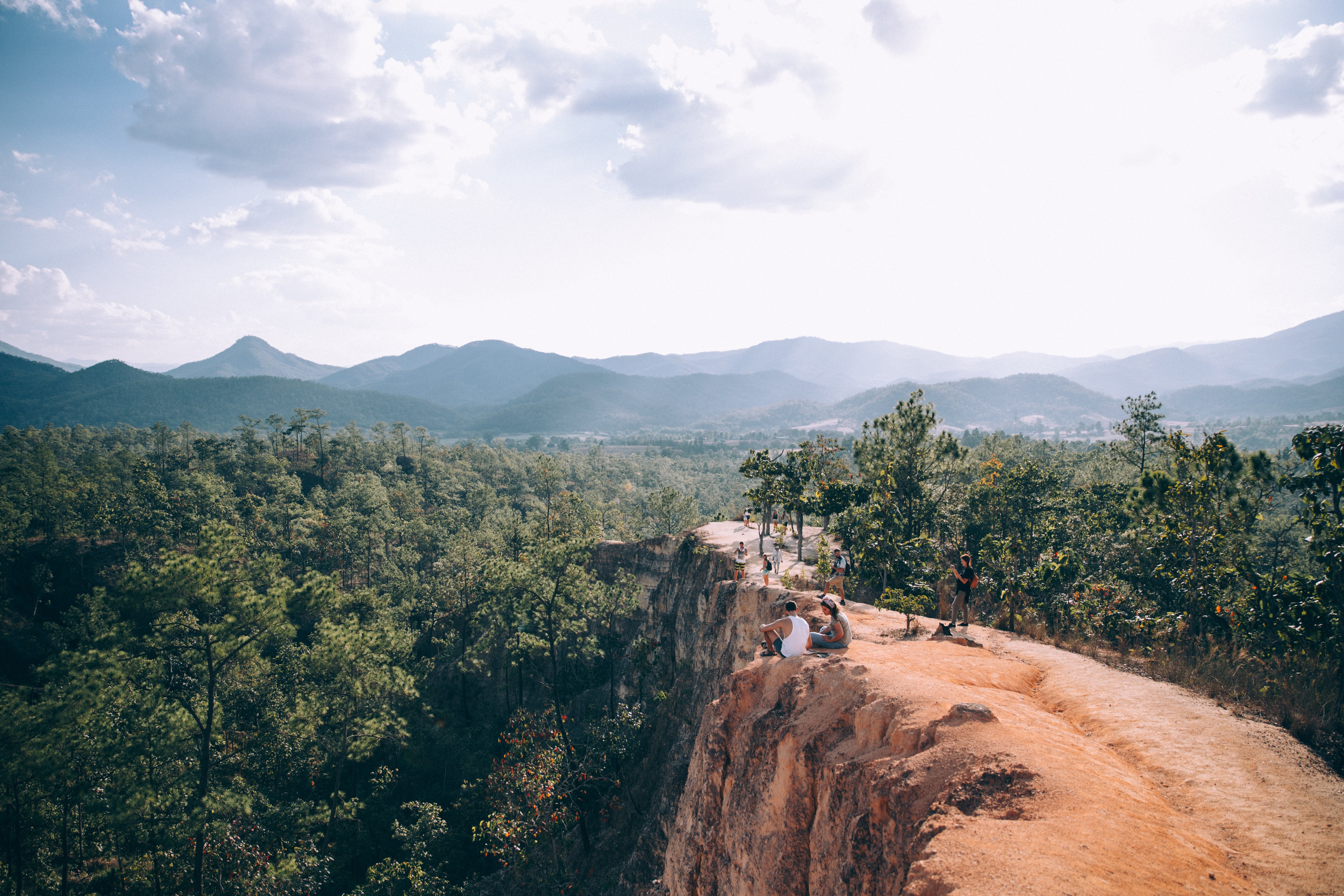 Wajah Batu Menghadap Foto Hutan