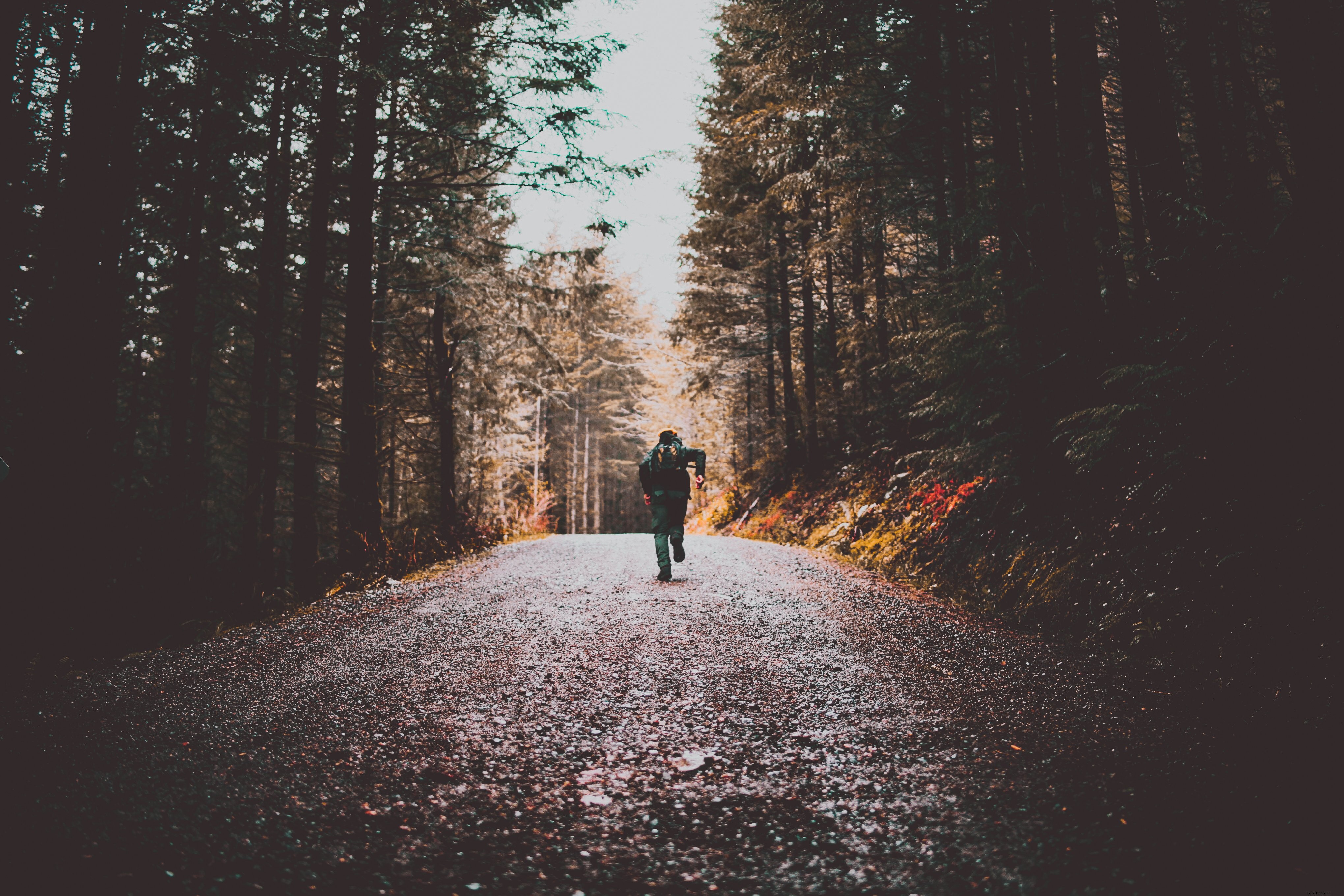 Foto de caminhante correndo em trilha batida entre as árvores