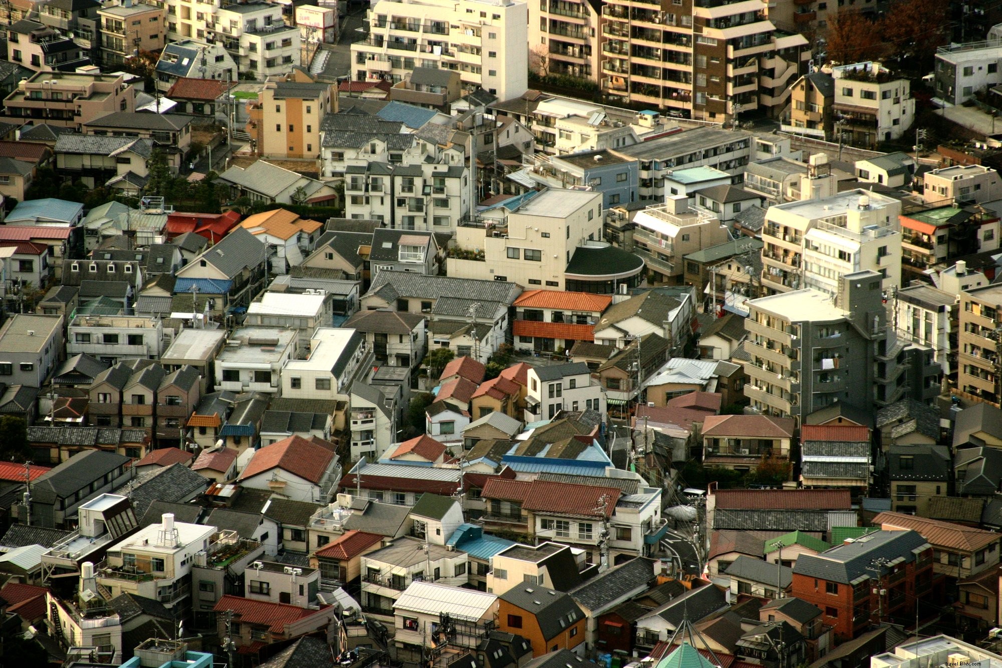 Foto colorida de telhados de casa vista de cima