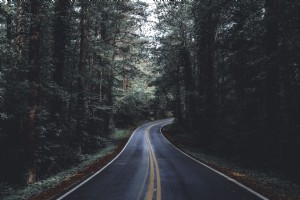Foto di strada asfaltata attraverso la foresta
