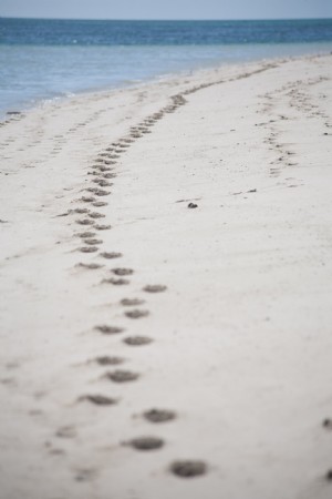 オーストラリアのビーチの足跡写真