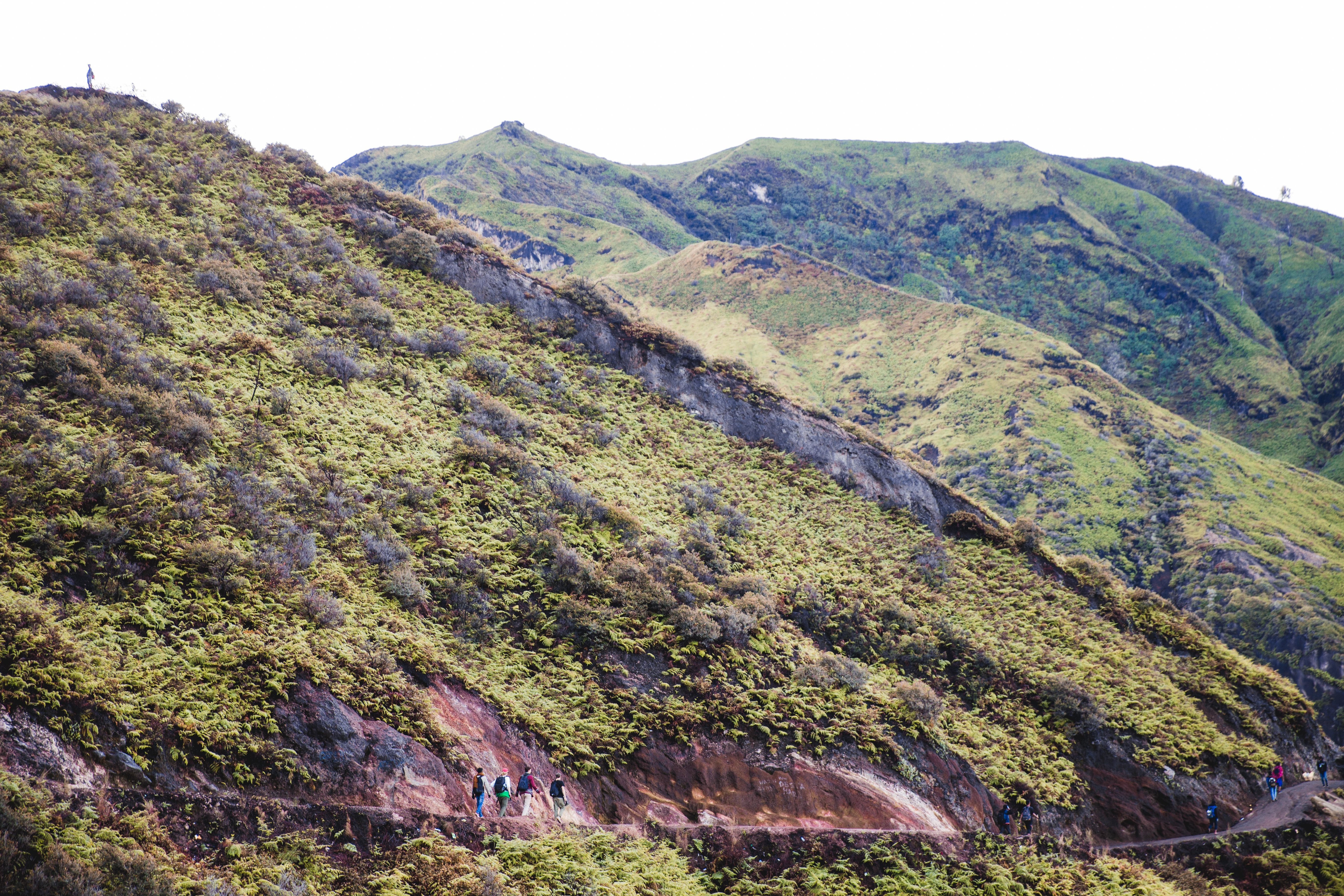 Foto da trilha da montanha verde