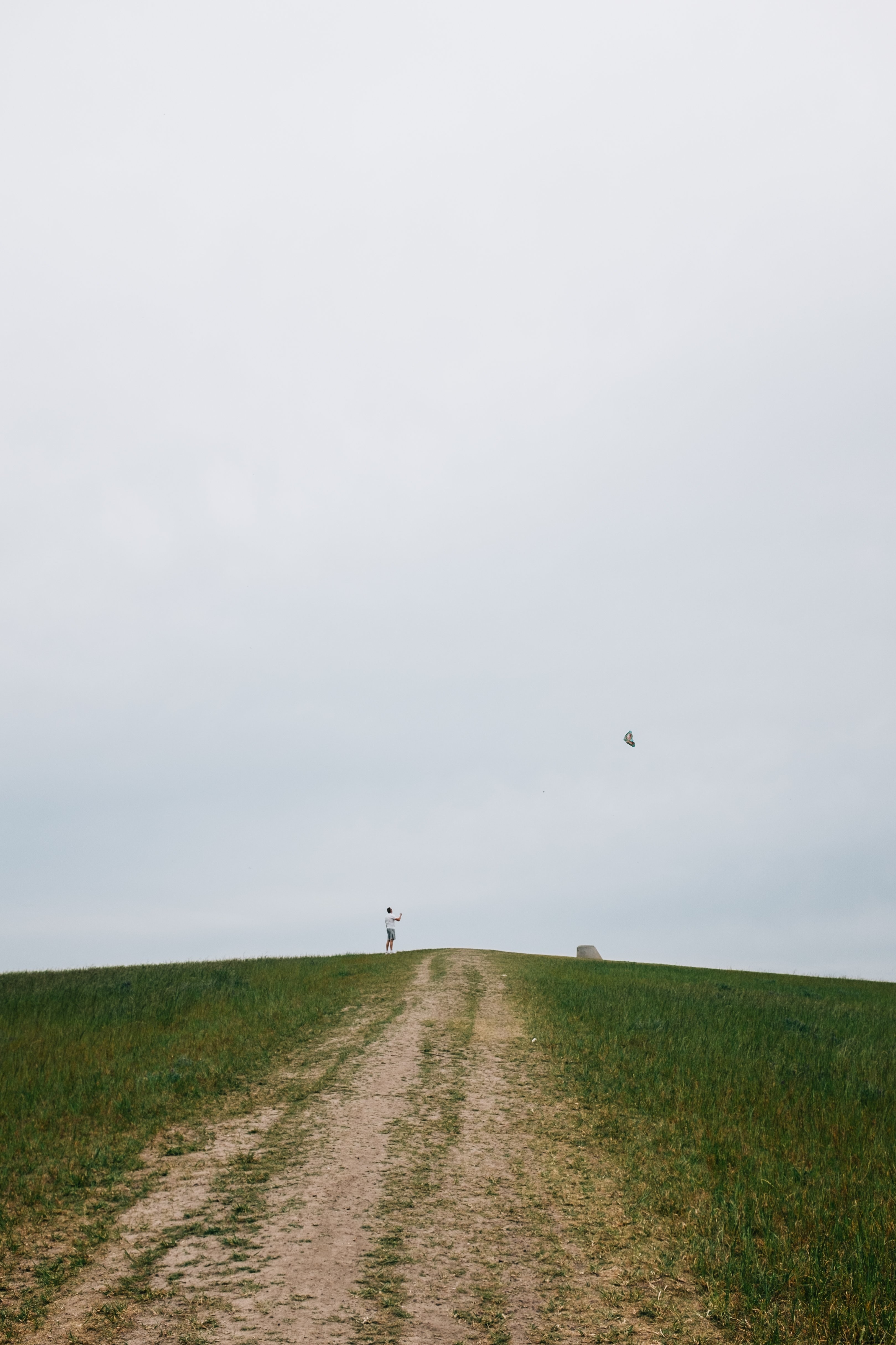 人は丘の上に立って凧の写真を飛ぶ