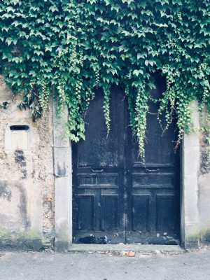 Vines Overgrow Aging Black Doors Photo