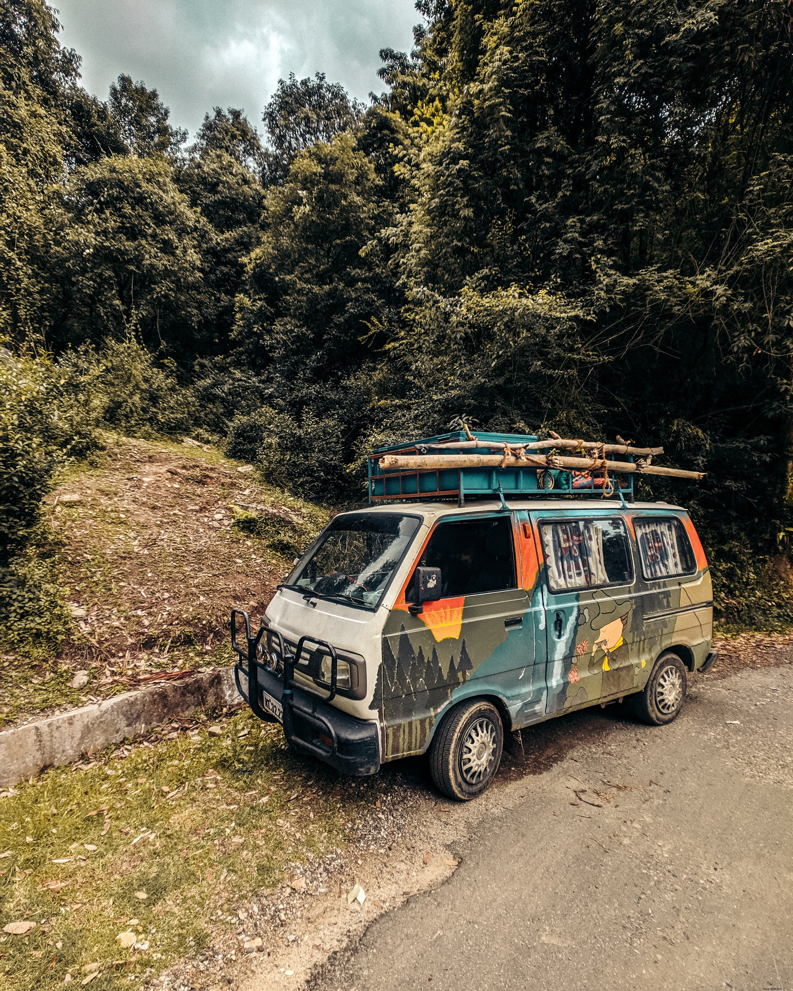 Van peint empilé avec des branches par la photo au bord de la route