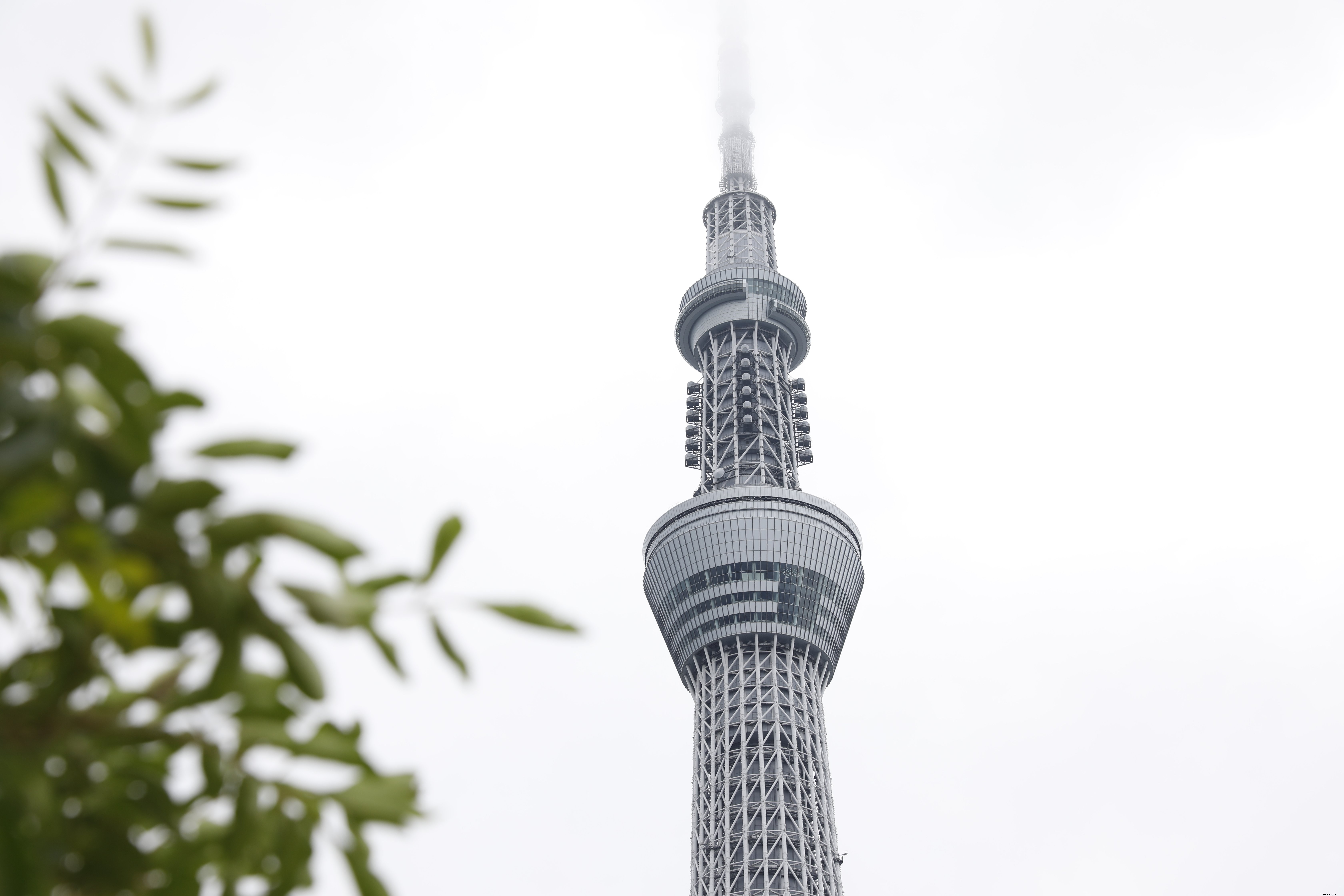 曇りの日の日本のスカイツリー写真