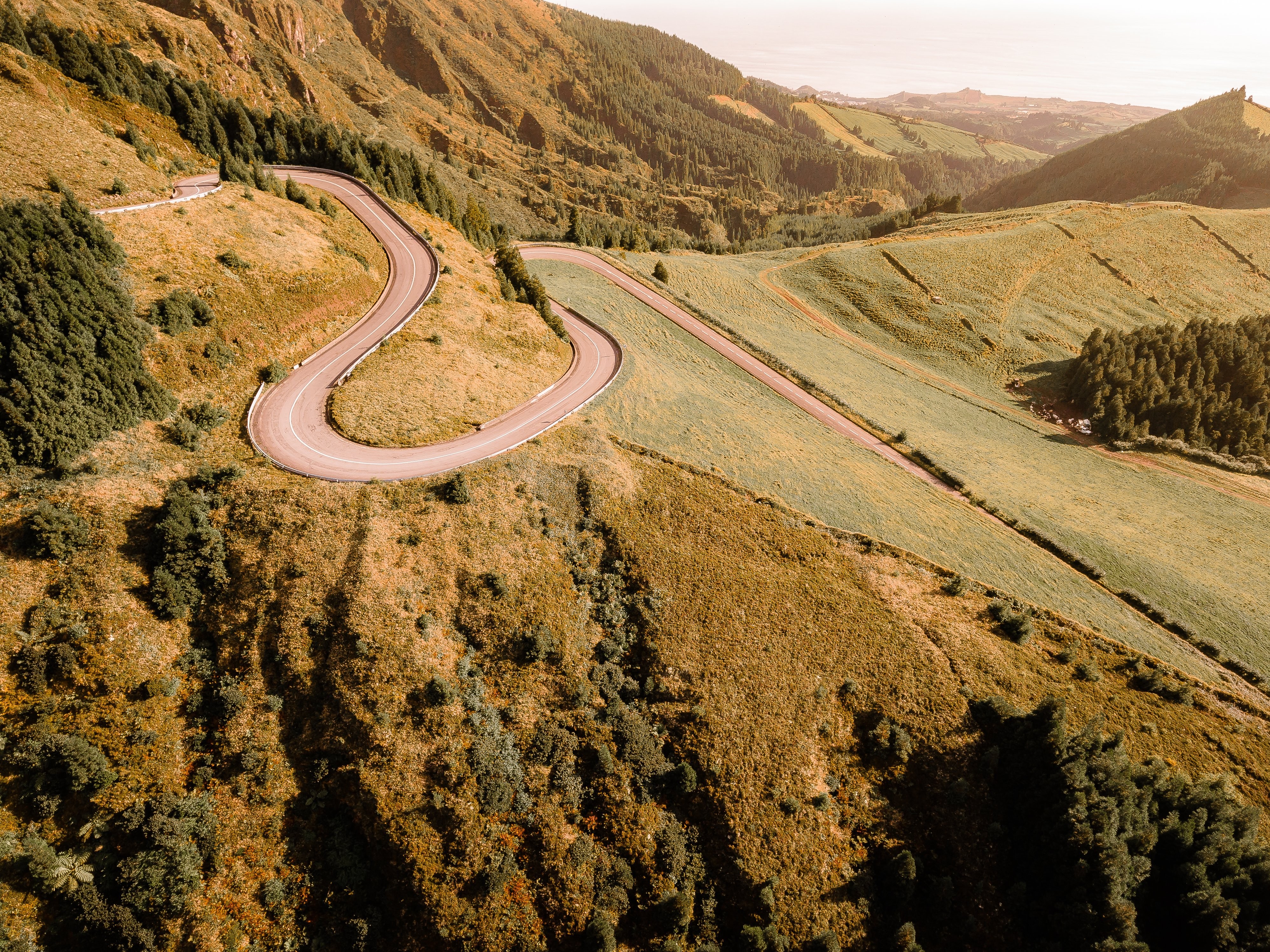 Carretera sinuosa a través de colinas cubiertas de hierba y árboles Foto