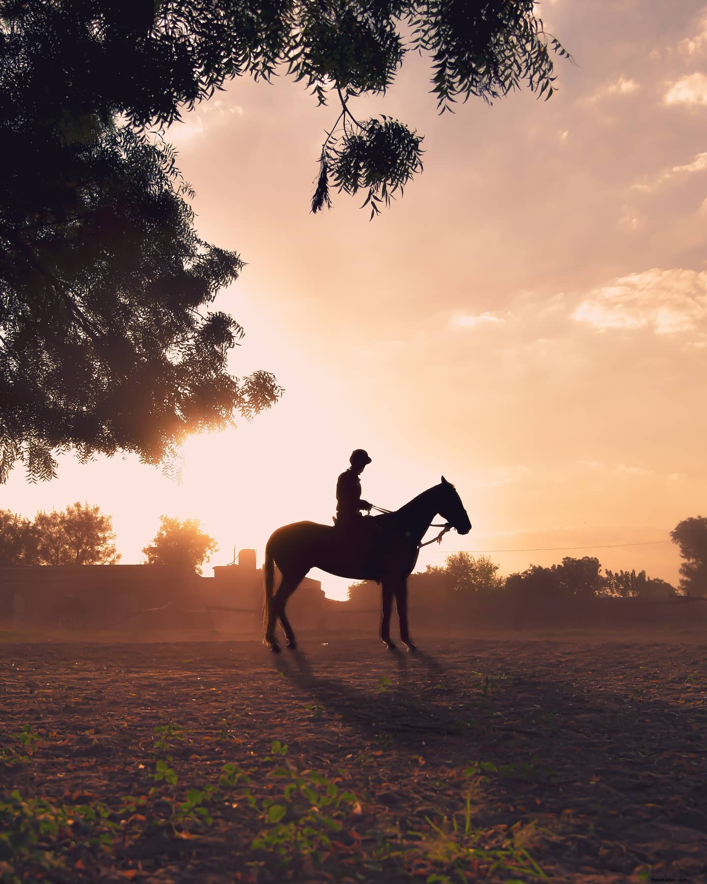 Foto da pessoa com a silhueta de um cavalo em um campo aberto