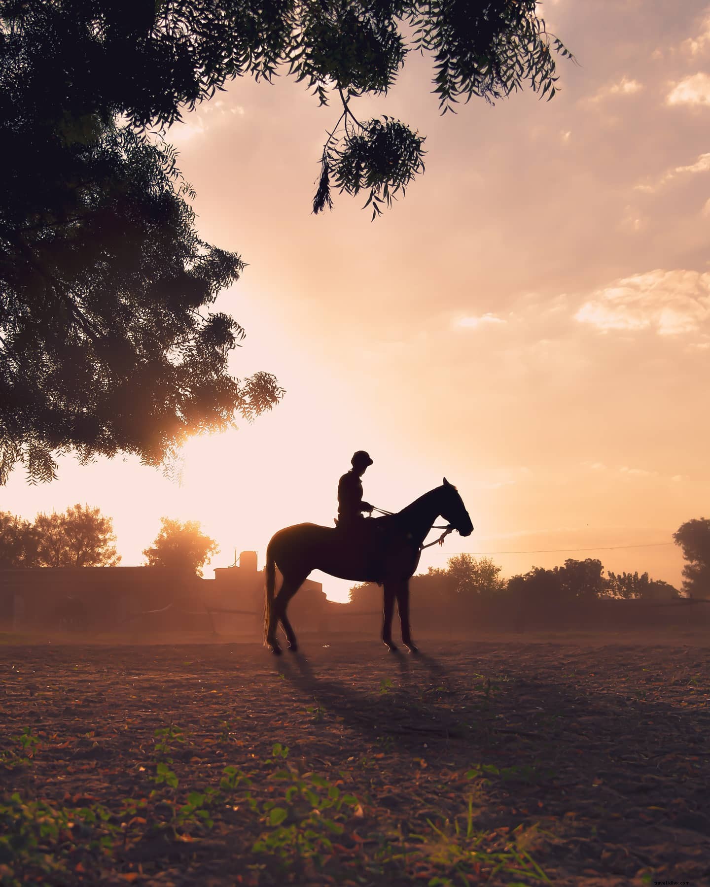 Personne qui se profile sur un cheval dans un champ ouvert Photo