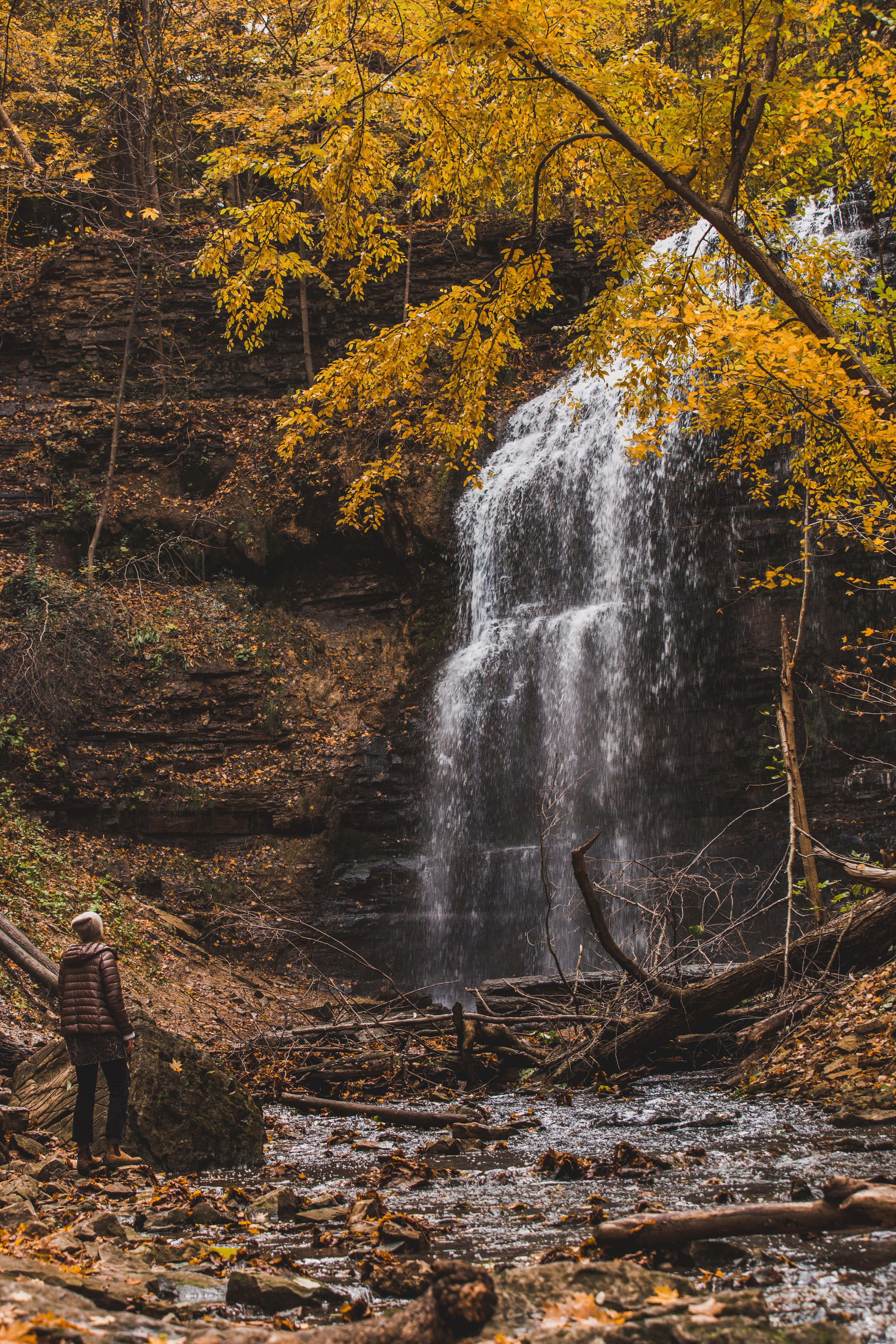 ハイカーは秋の写真で滝を見上げる