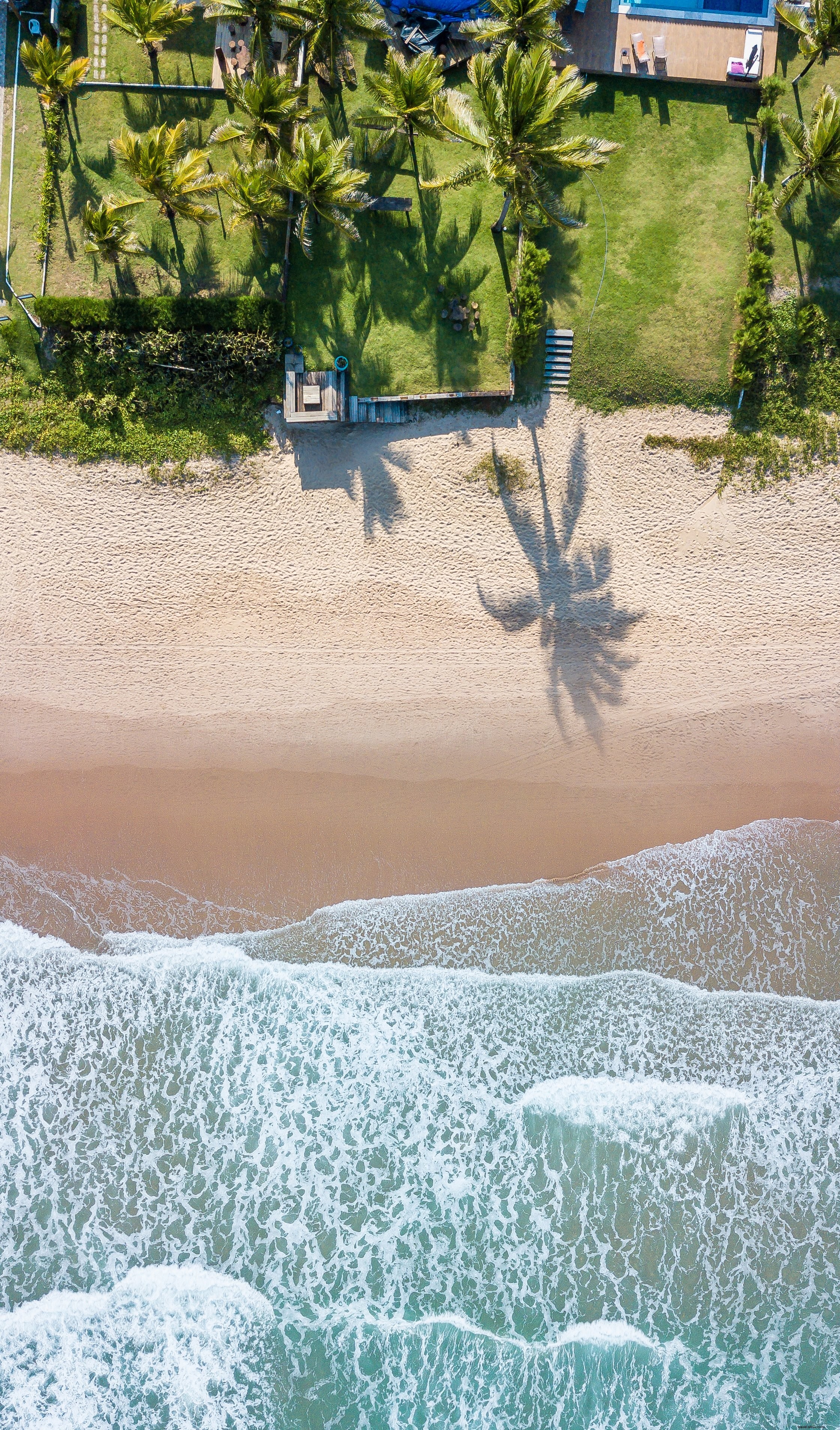 Foto de patios junto a la playa con palmeras junto al agua