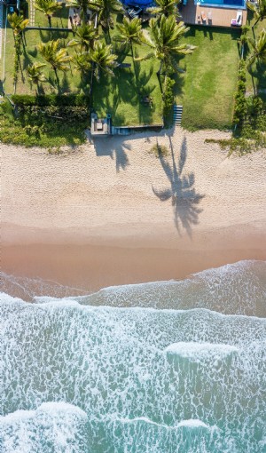 Pekarangan Tepi Pantai Dengan Telapak Tangan Di Tepi Air Foto