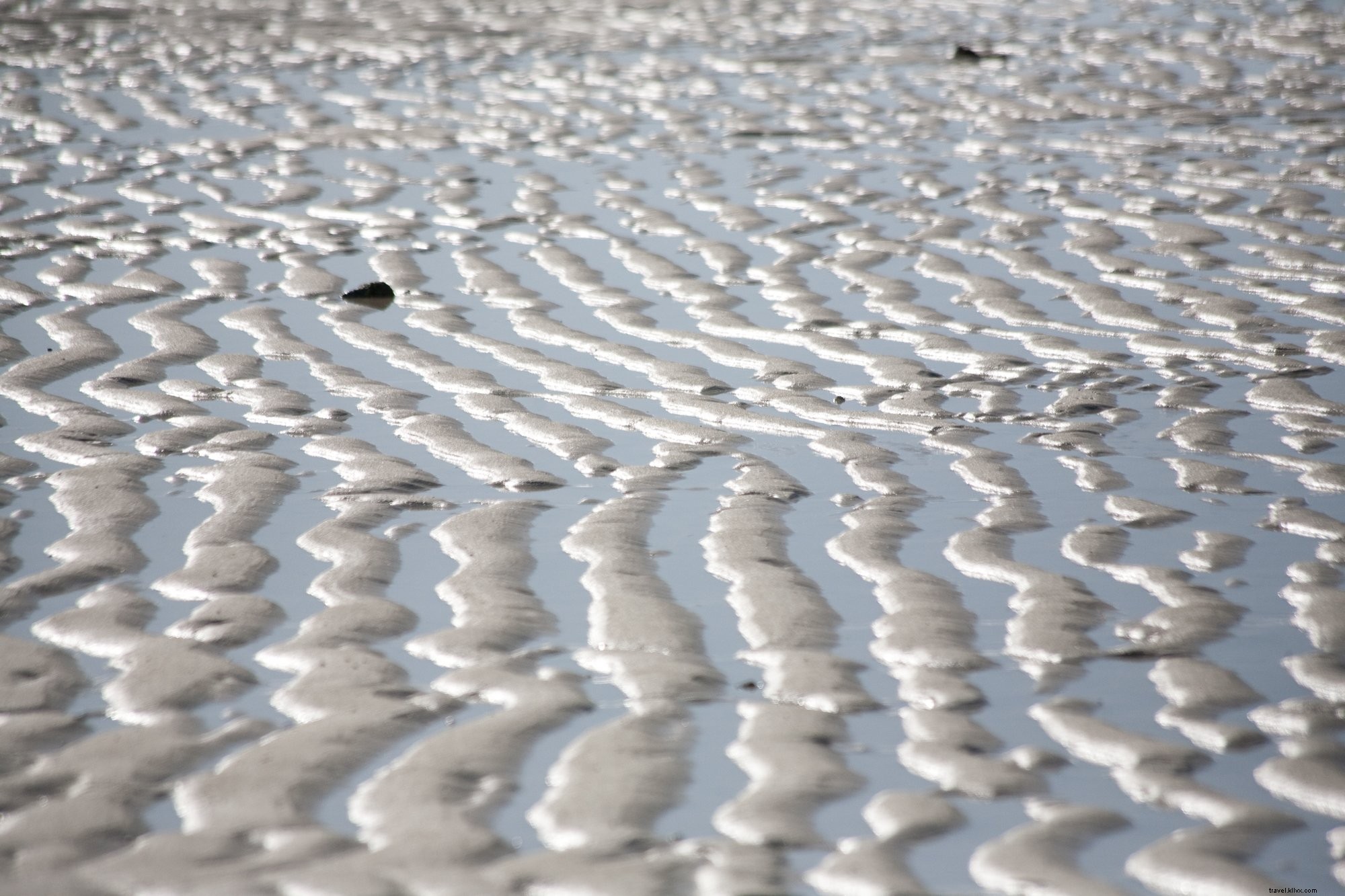 波状のオーシャンビーチの砂の写真
