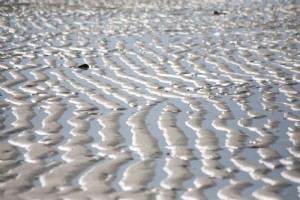 波状のオーシャンビーチの砂の写真