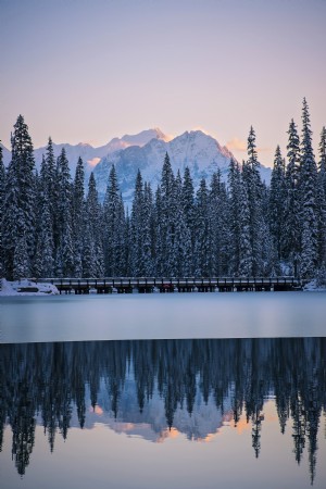 La ligne de pins givrés sépare le lac gelé des montagnes Photo