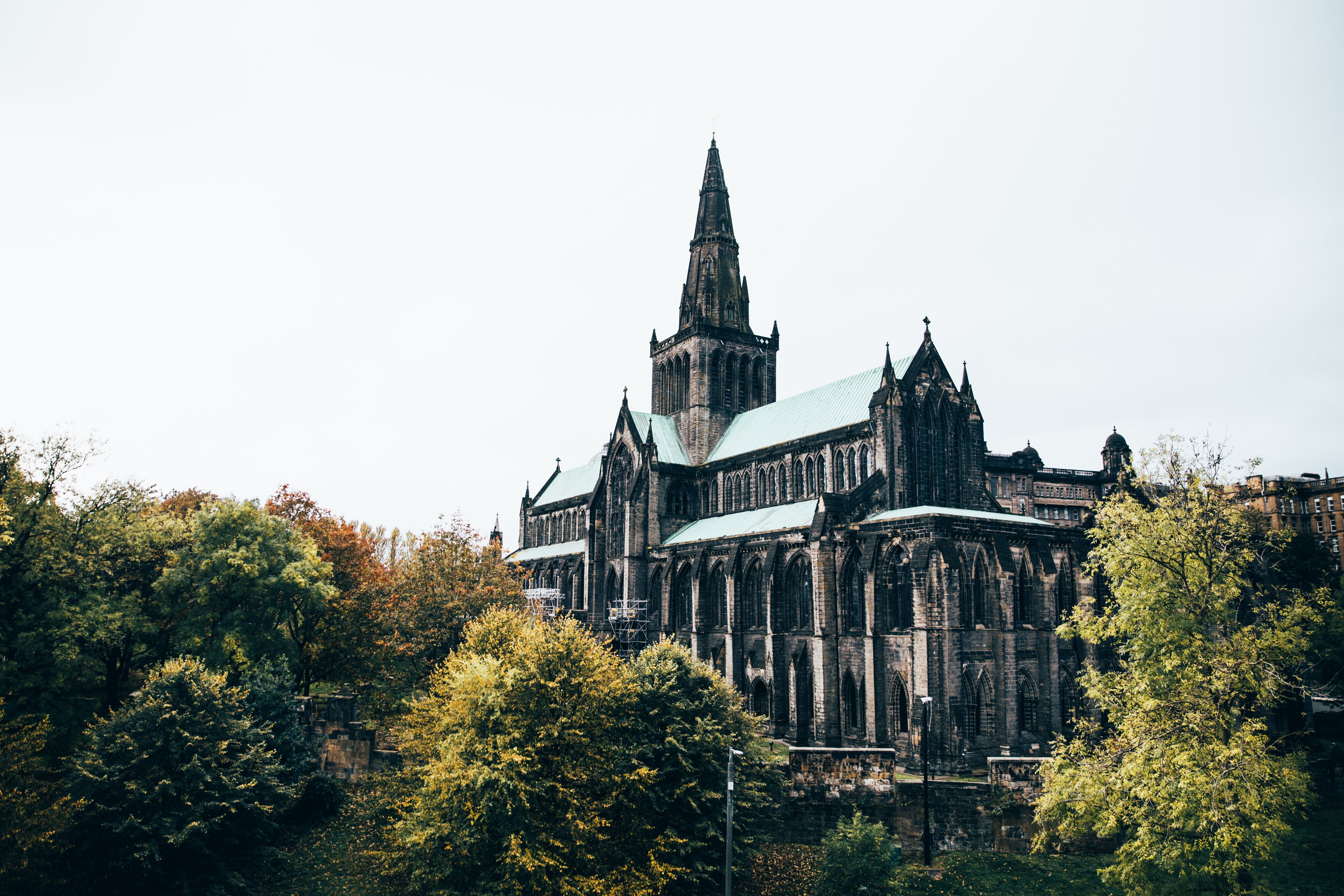 Foto Katedral Di Pohon