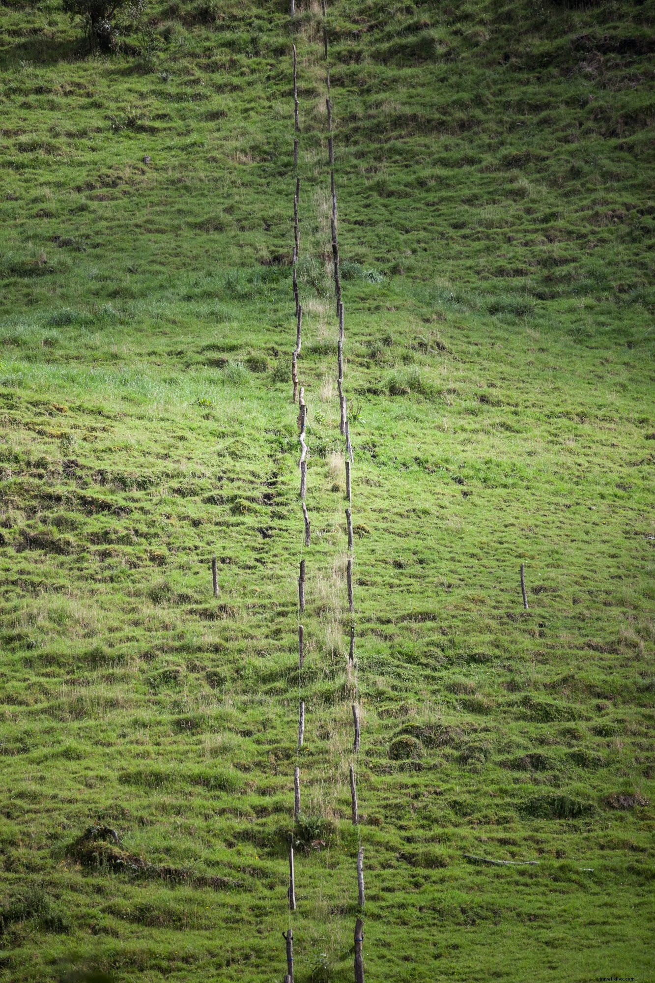 Remendar foto verde da montanha