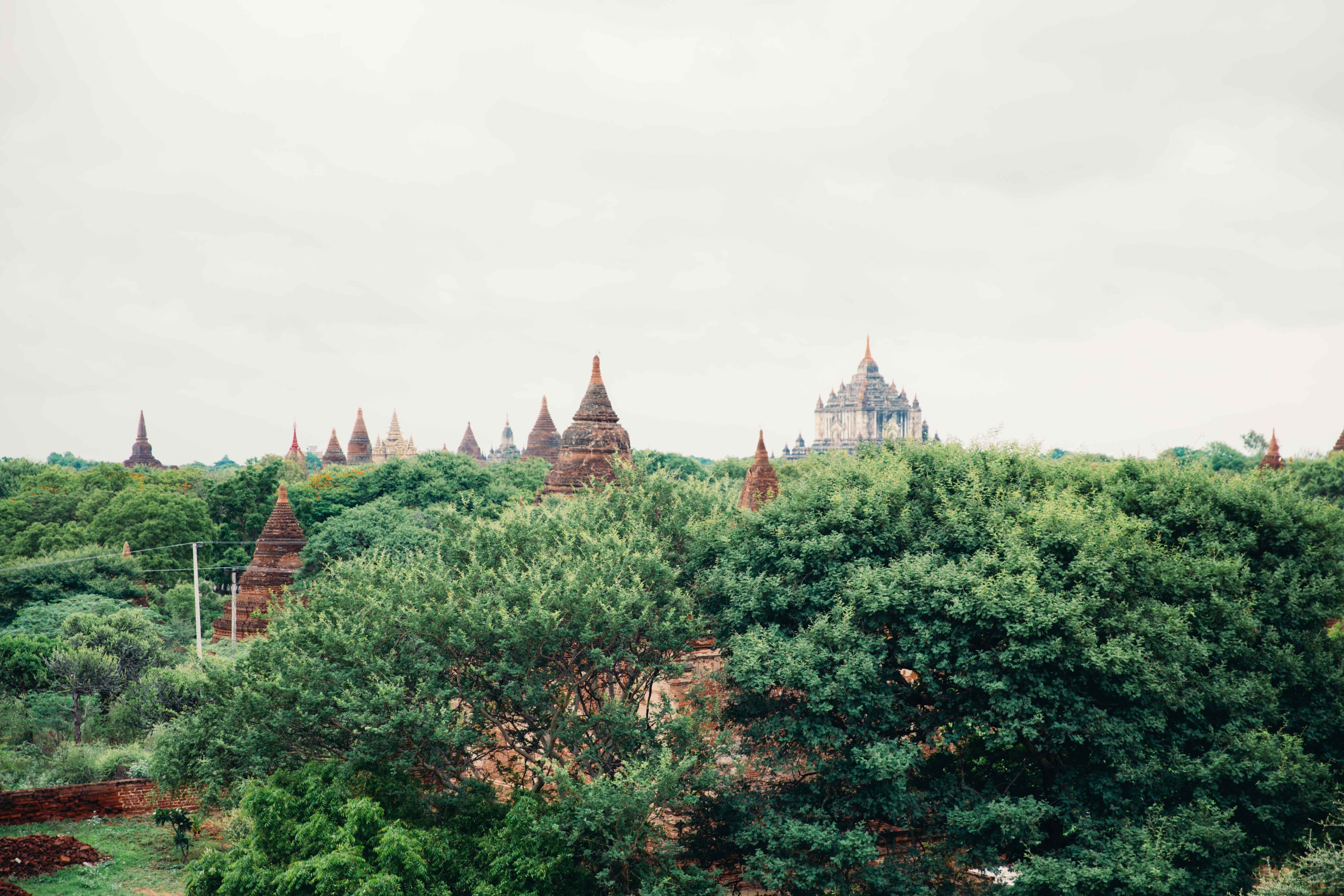 Photo des temples et de la cime des arbres