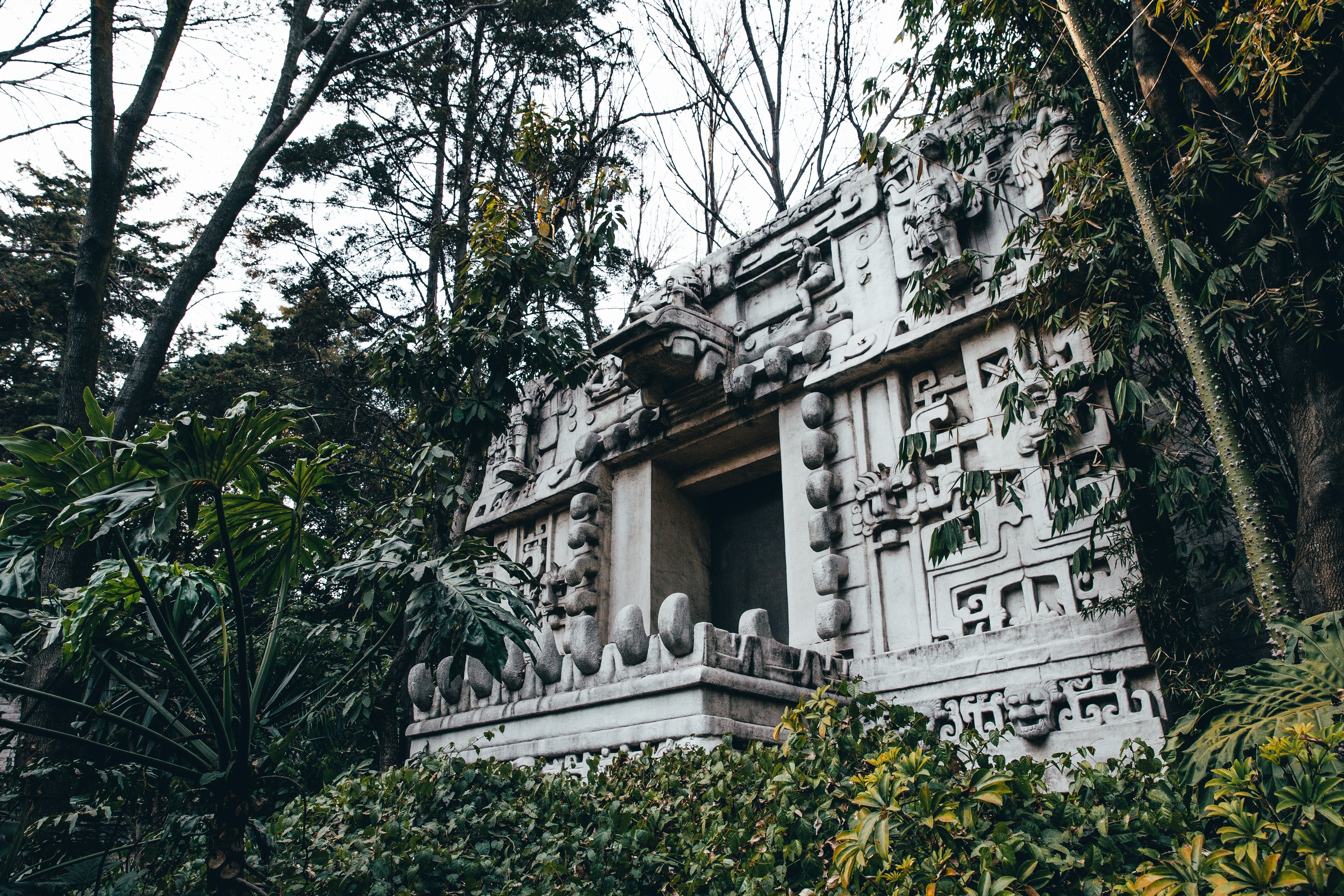 Ruines mayas dans la jungle Photo