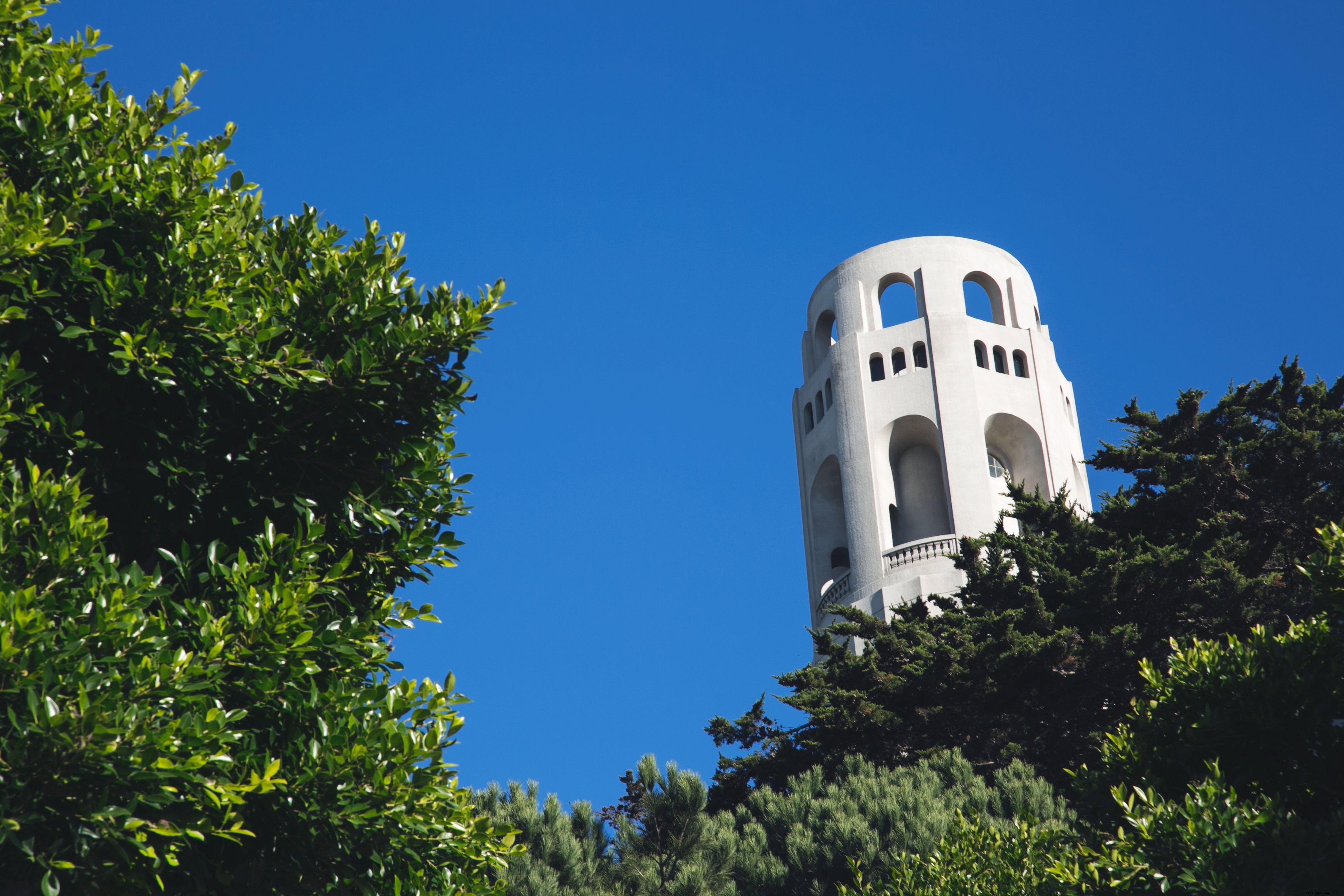 Torre che sbircia tra gli alberi foto