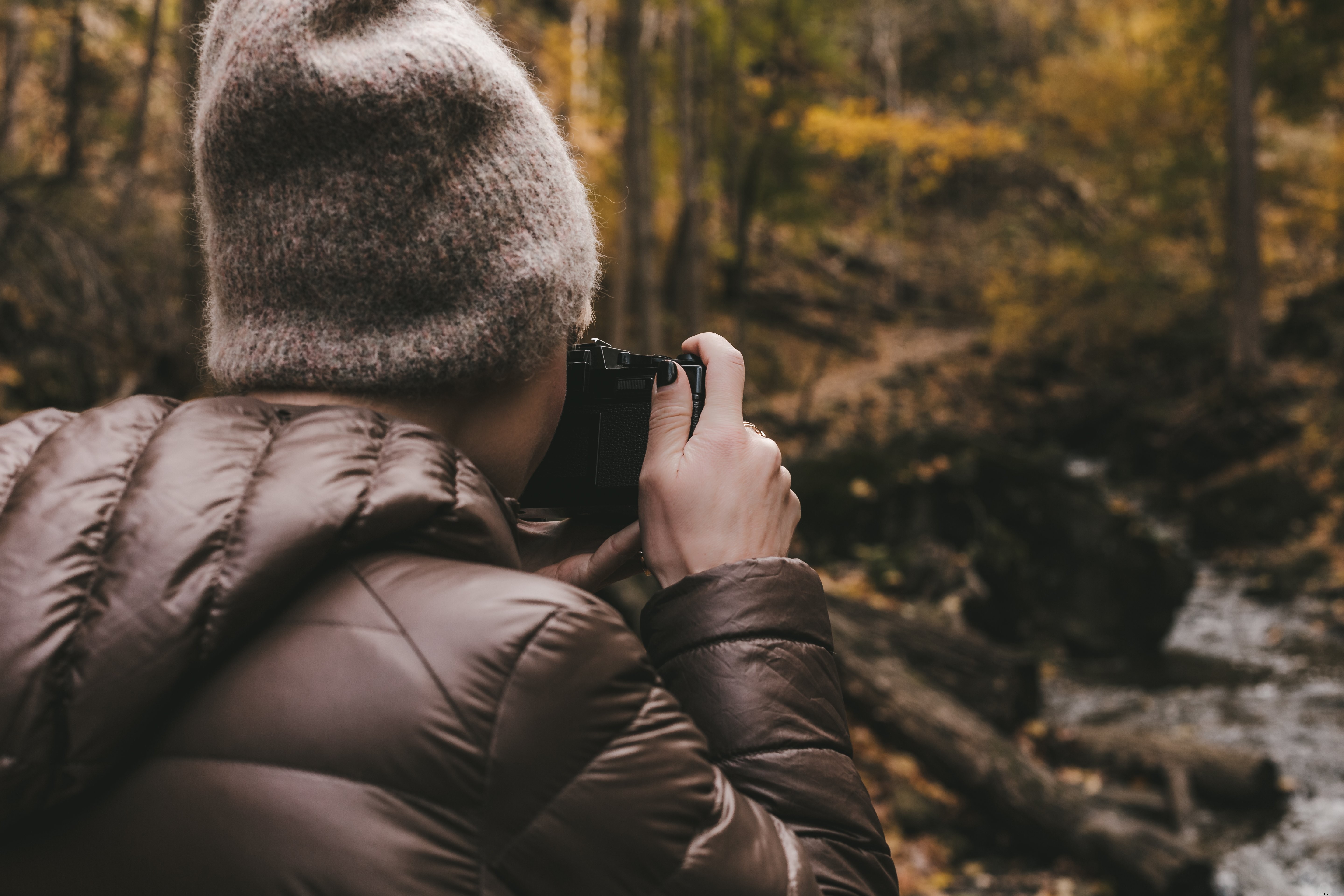 Foto de fotografía de naturaleza de otoño